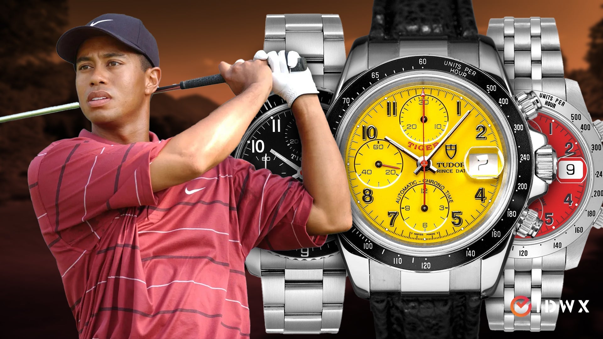 Tudor Tiger Prince