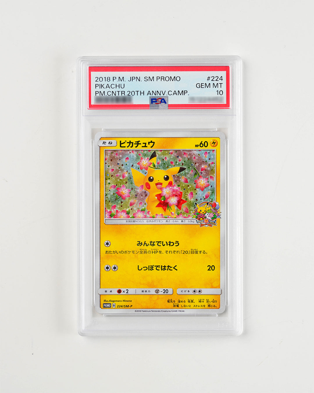 JAPANESE PROMO PIKACHU POKEMON CENTER 20TH ANNIVERSARY CAMPAIGN (2018)
