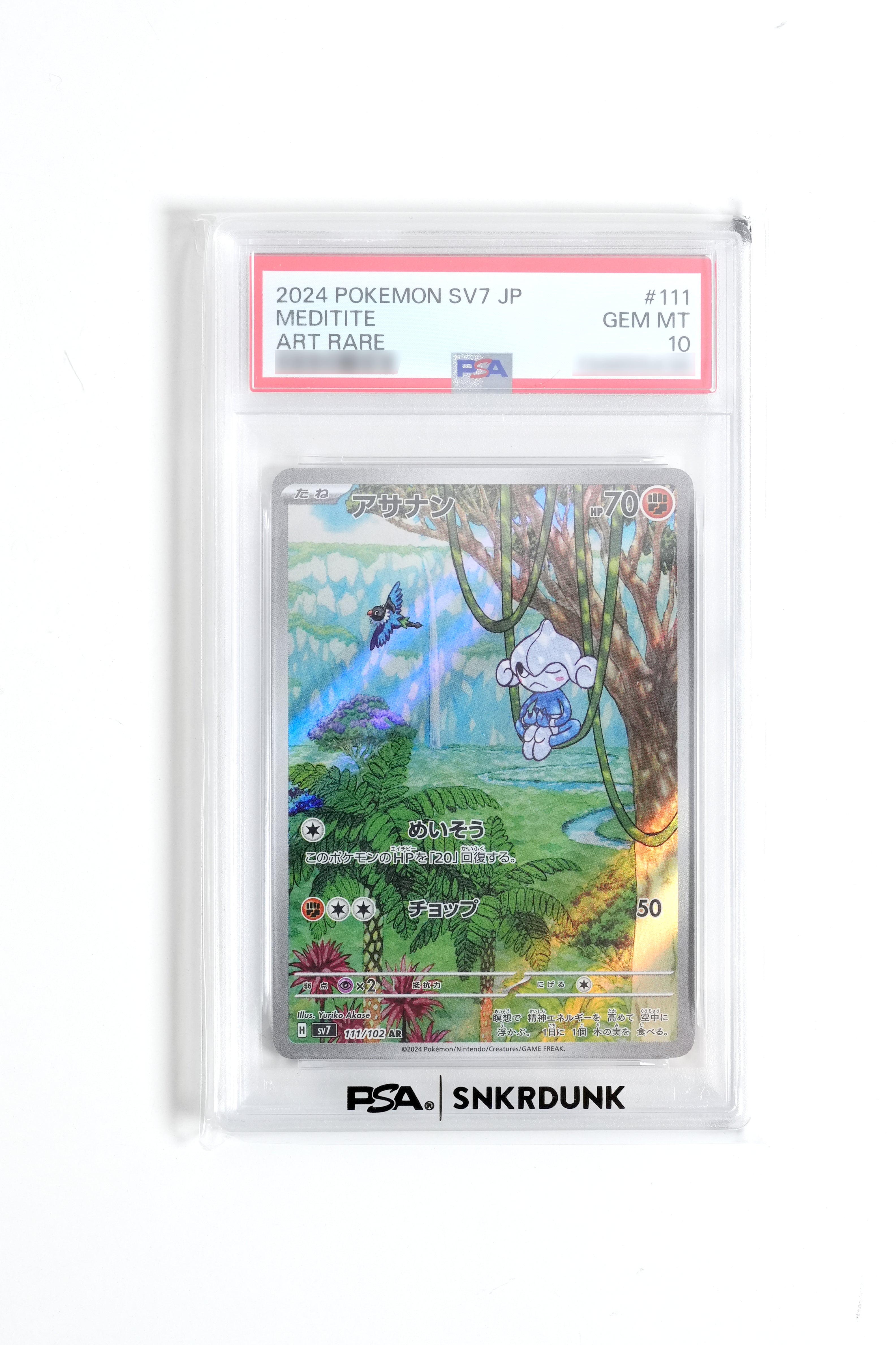 JAPANESE STELLAR MIRACLE MEDITITE ART RARE (2024)