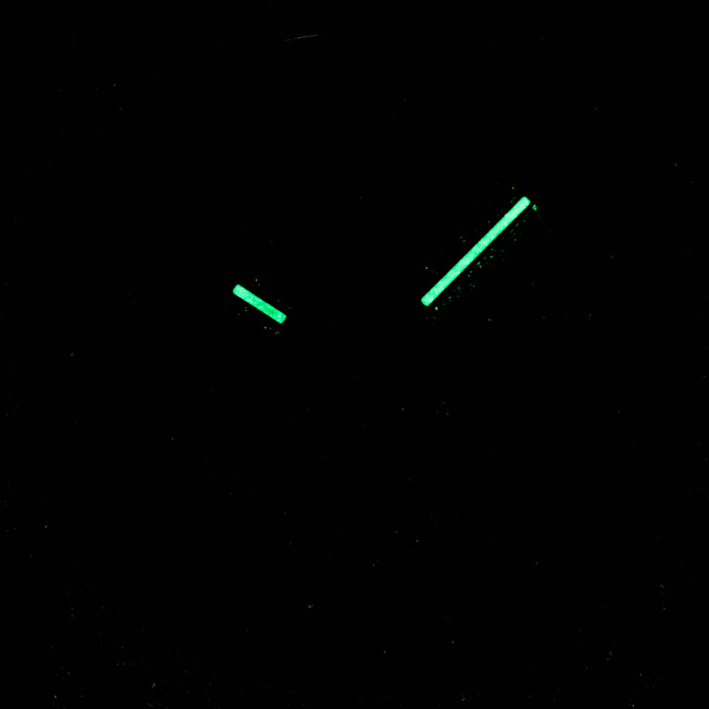 DATEJUST II CUSTOM PAVED DIAMOND SET ROMAN DIAL (2016)