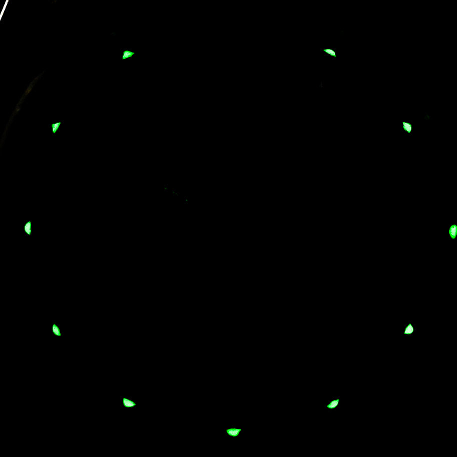 Datejust Champagne Indonesia