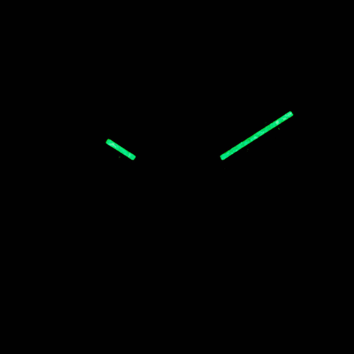 DATEJUST II CUSTOM PAVED DIAMOND SET ROMAN DIAL (2019)