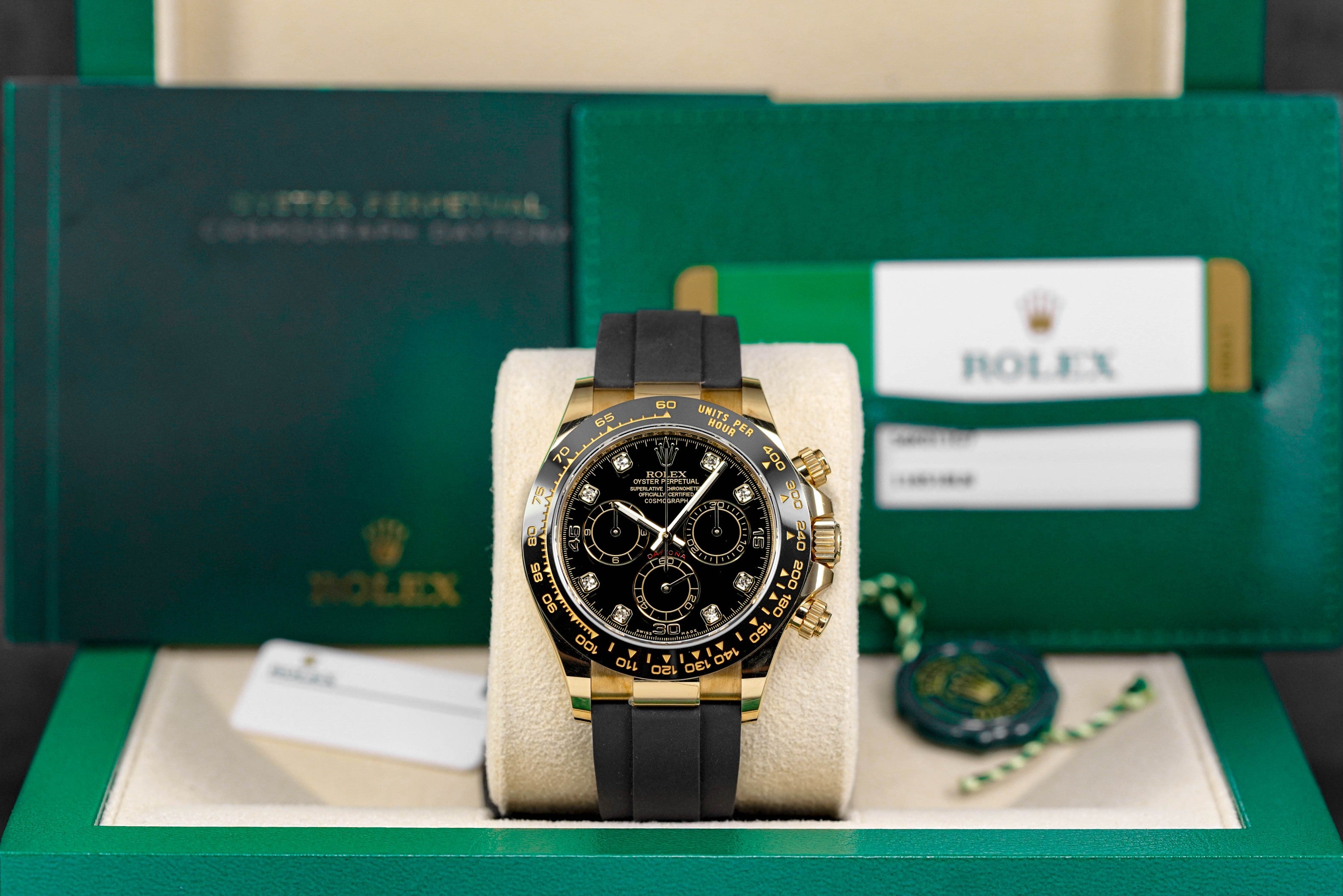 Daytona Oysterflex Indonesia