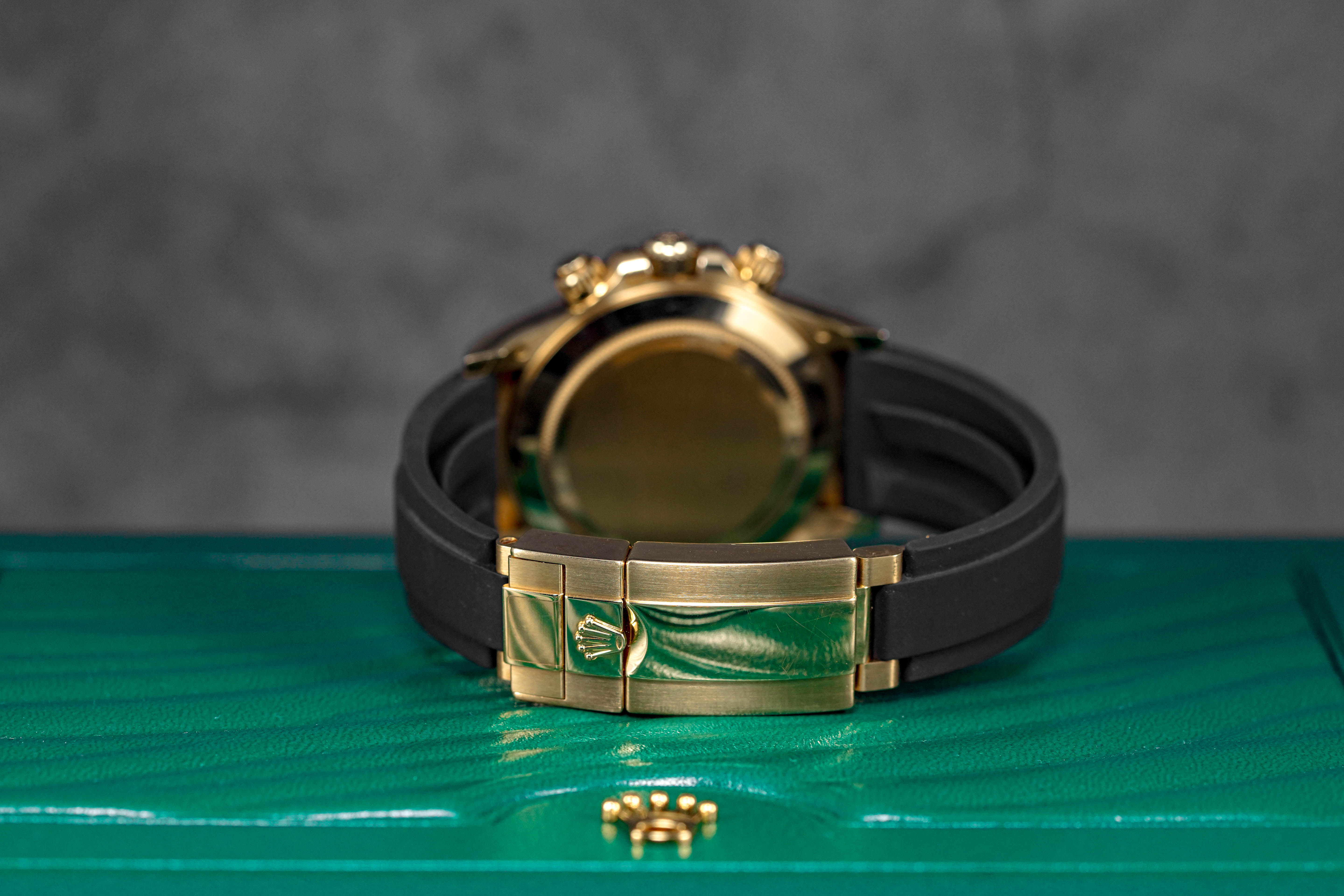 Daytona Oysterflex Indonesia