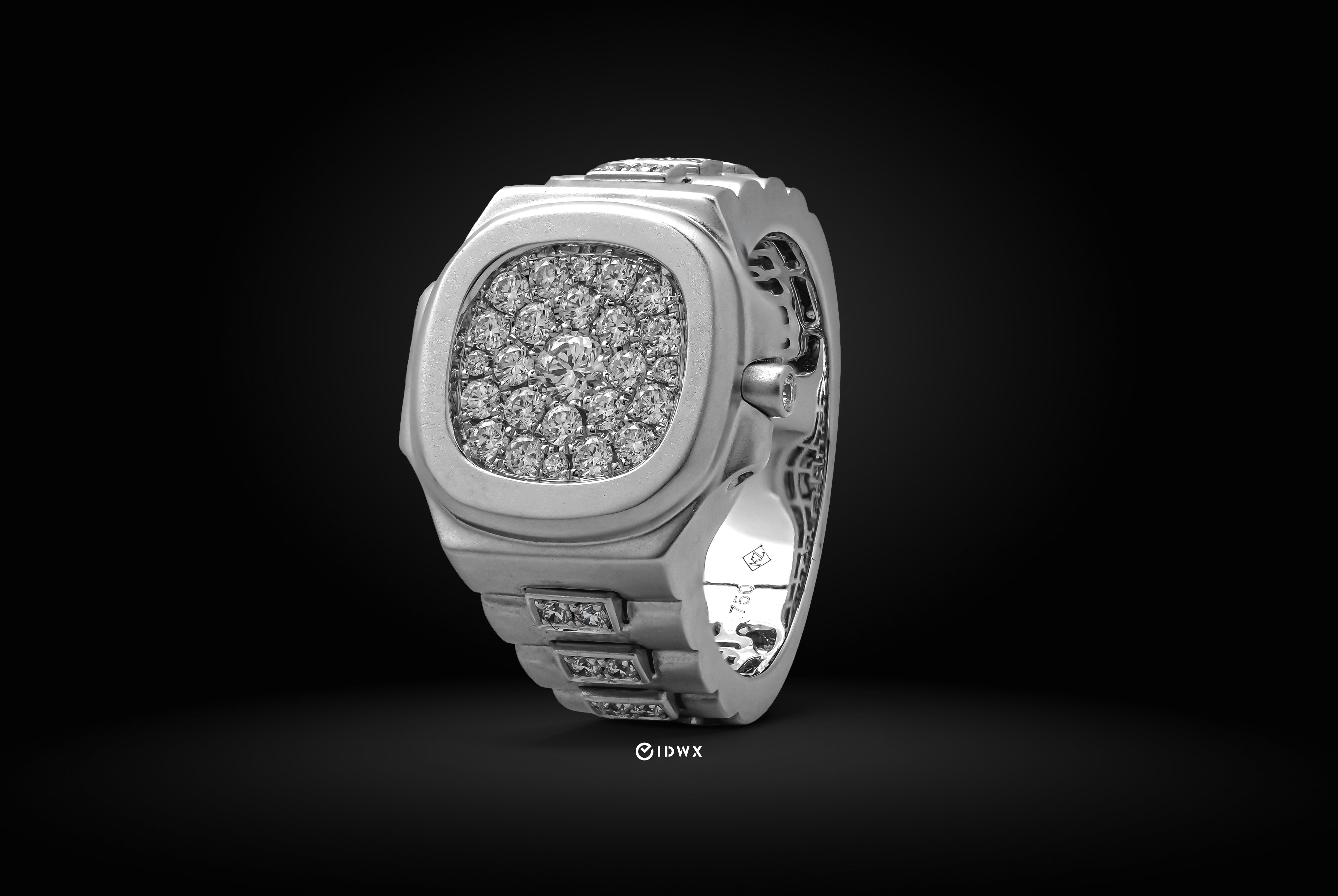 Nautilus Ring
