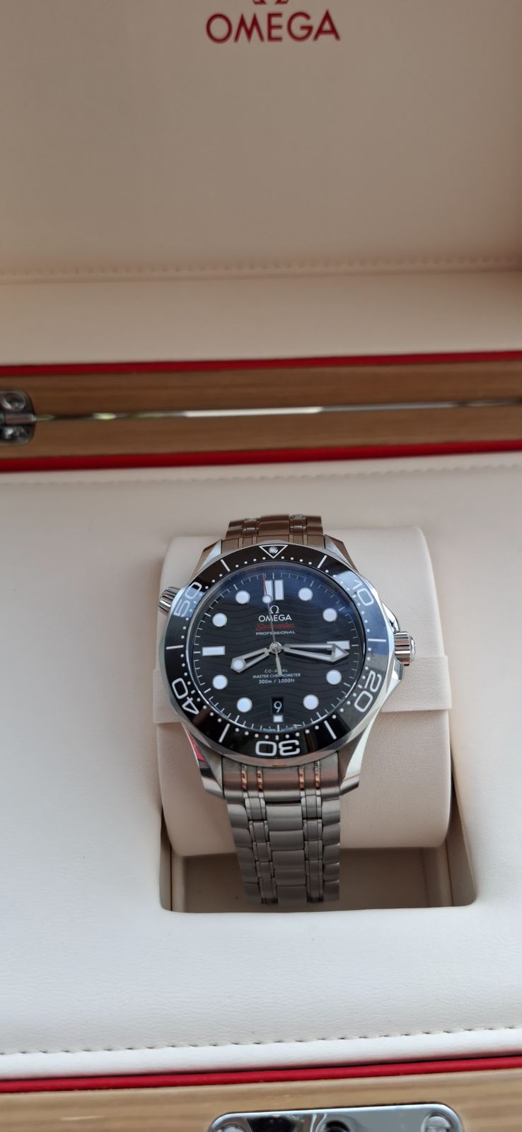 SEAMASTER DIVER 300 BLACK DIAL (2022)