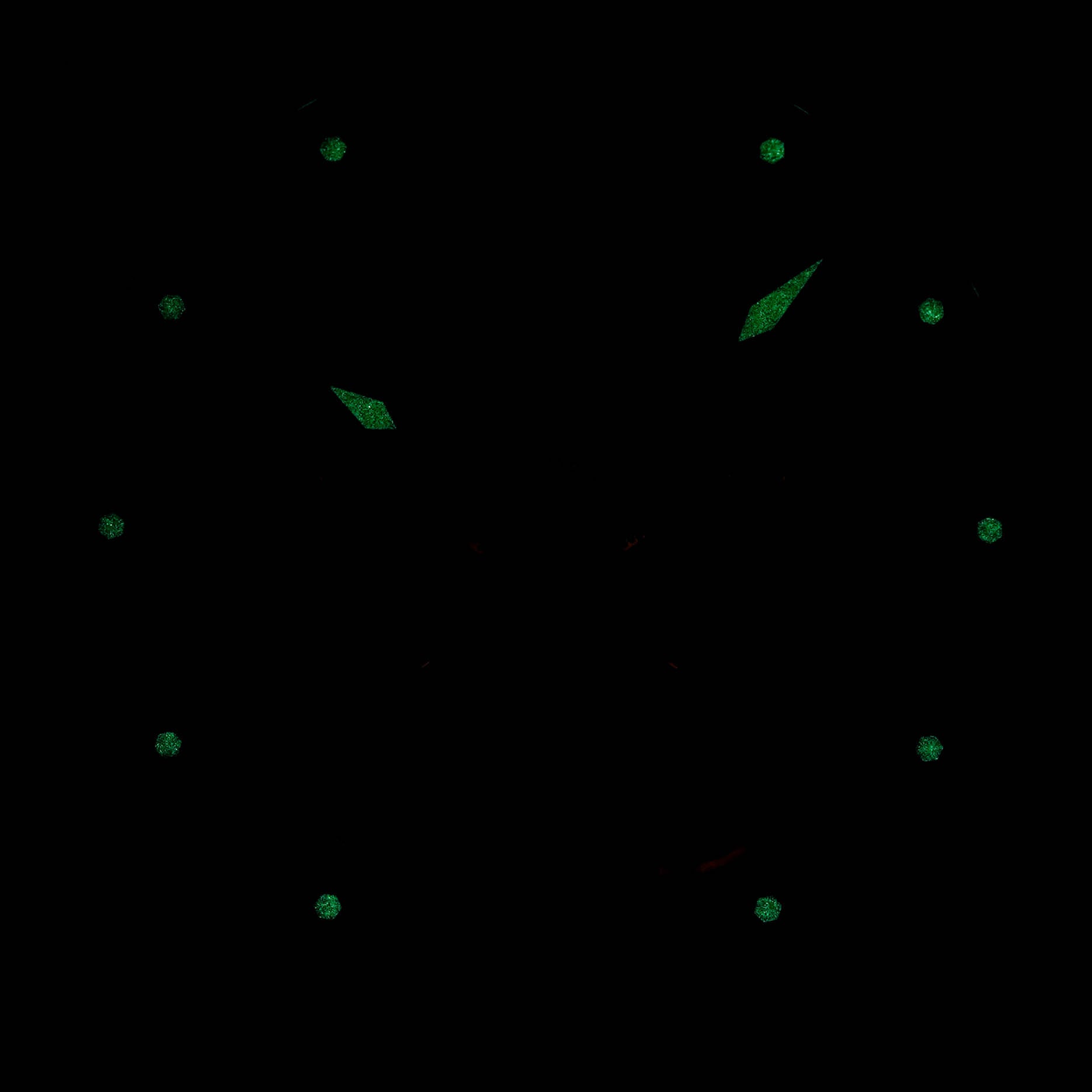 Excalibur Spider Black