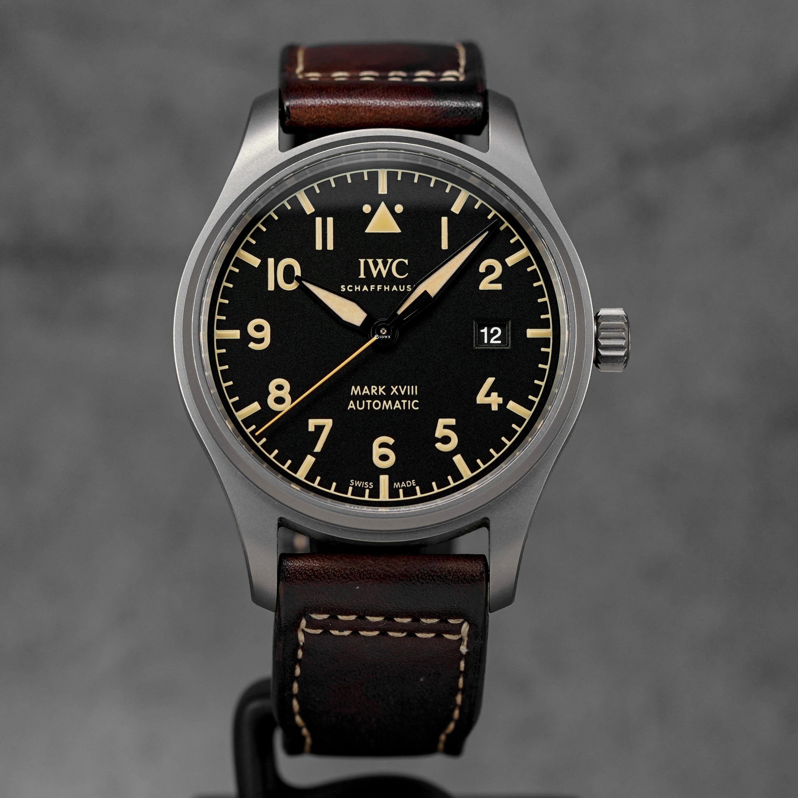 Harga IWC Pilot Mark XVIII Heritage Black