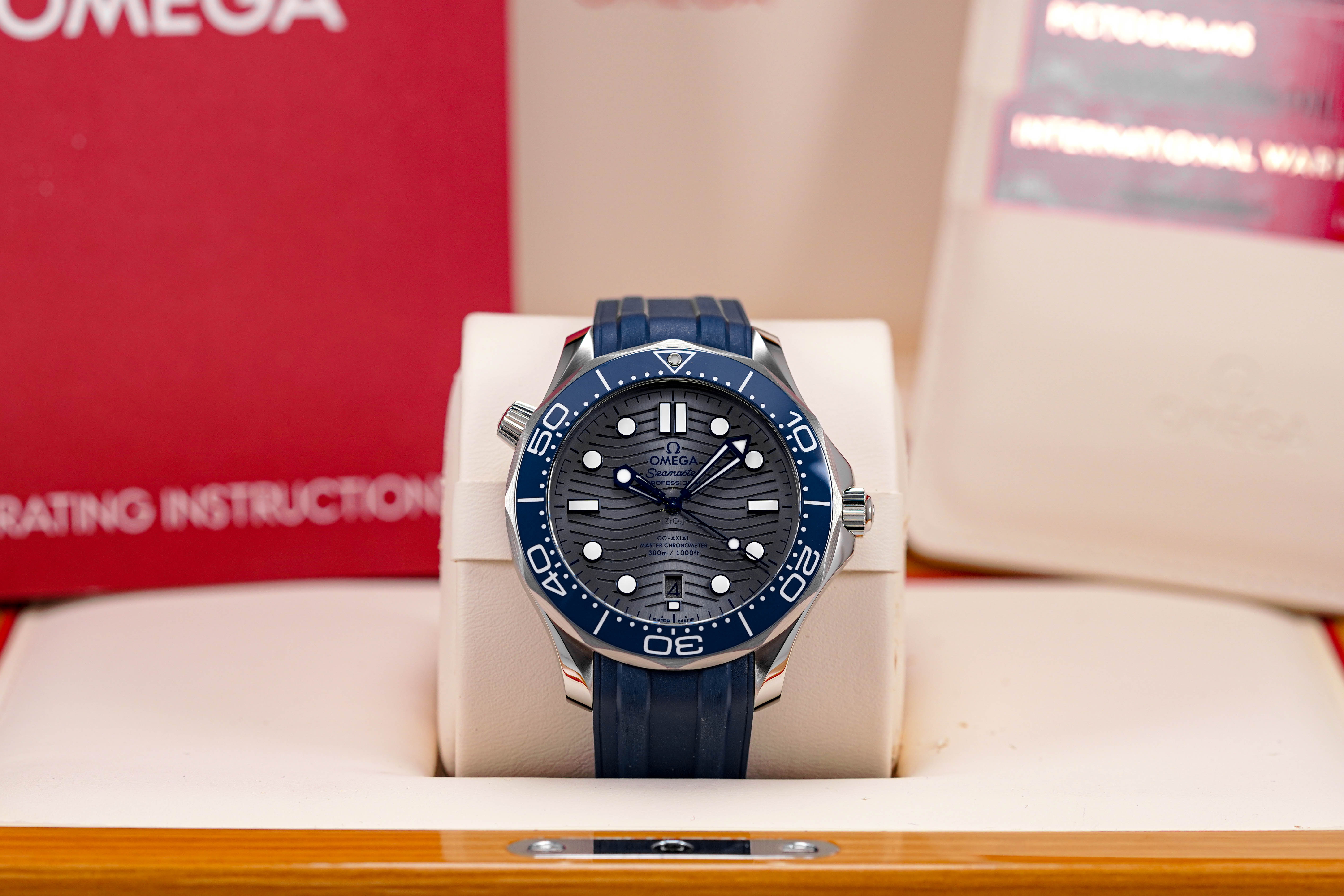 SEAMASTER DIVER 300 GREY DIAL RUBBER STRAP (2019)