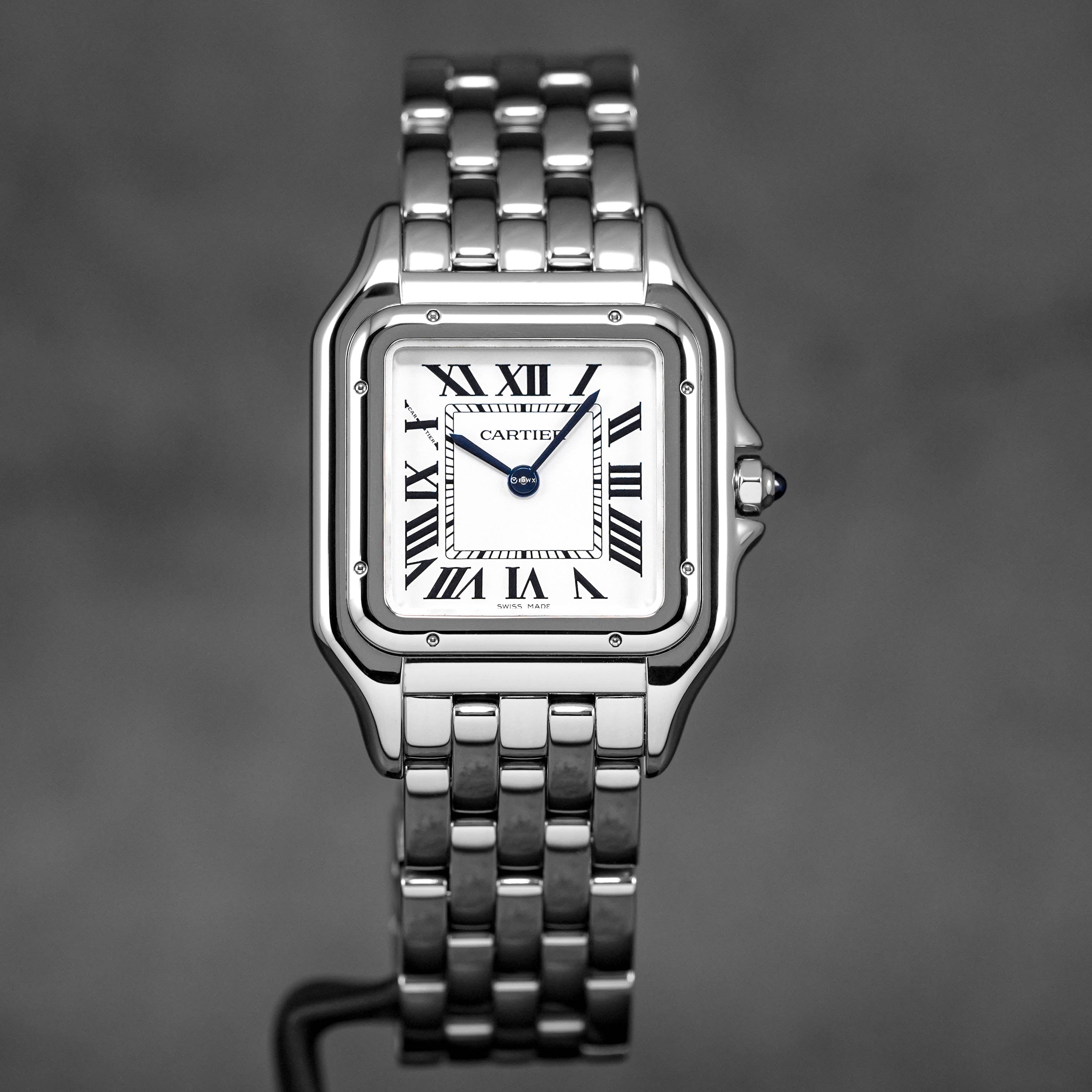 PANTHÈRE STEEL M SILVER DIAL (2025)