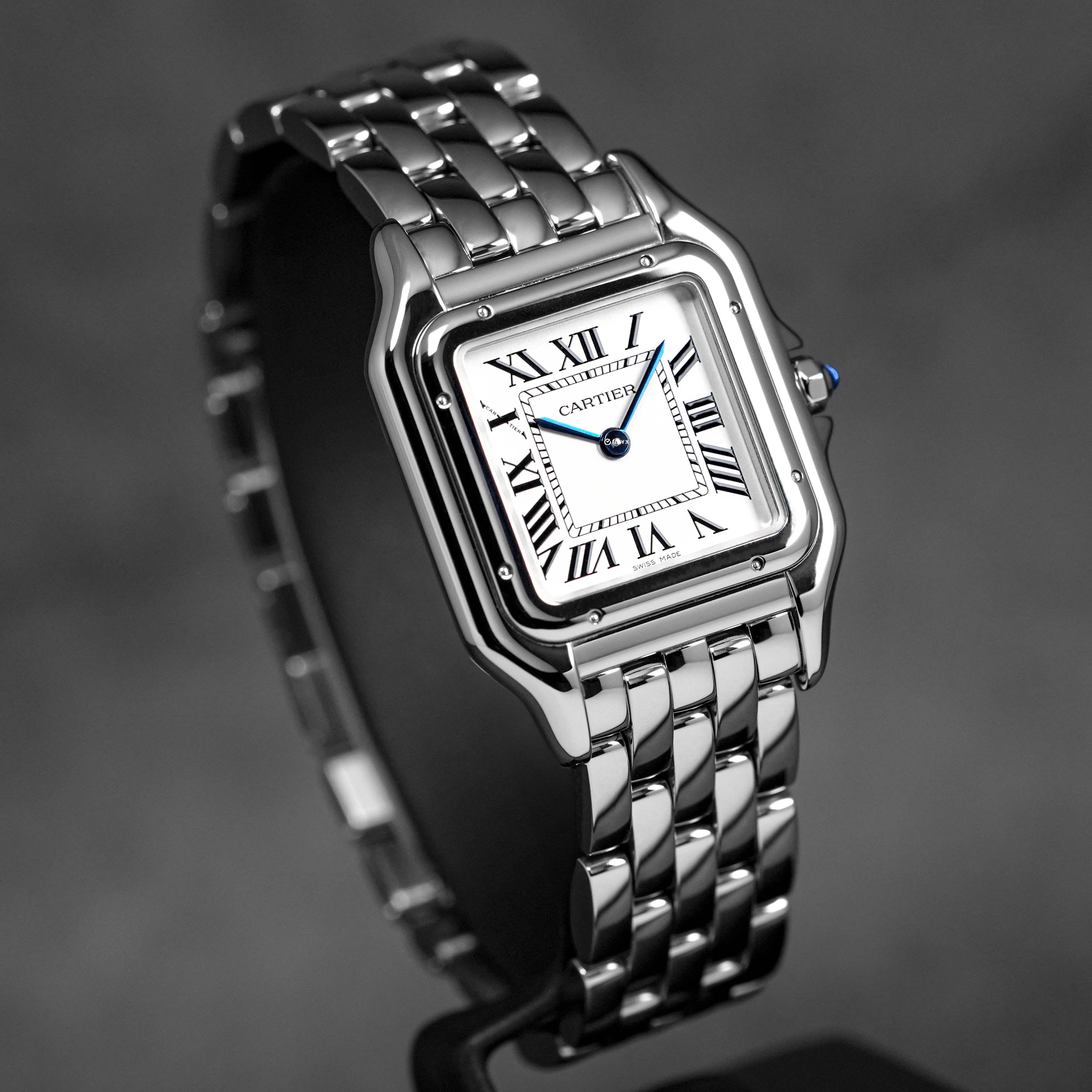 PANTHÈRE STEEL M SILVER DIAL (2025)