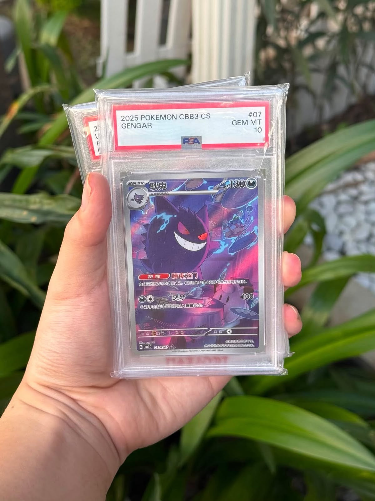 CHINESE SIMPLIFIED GENGAR (2025)