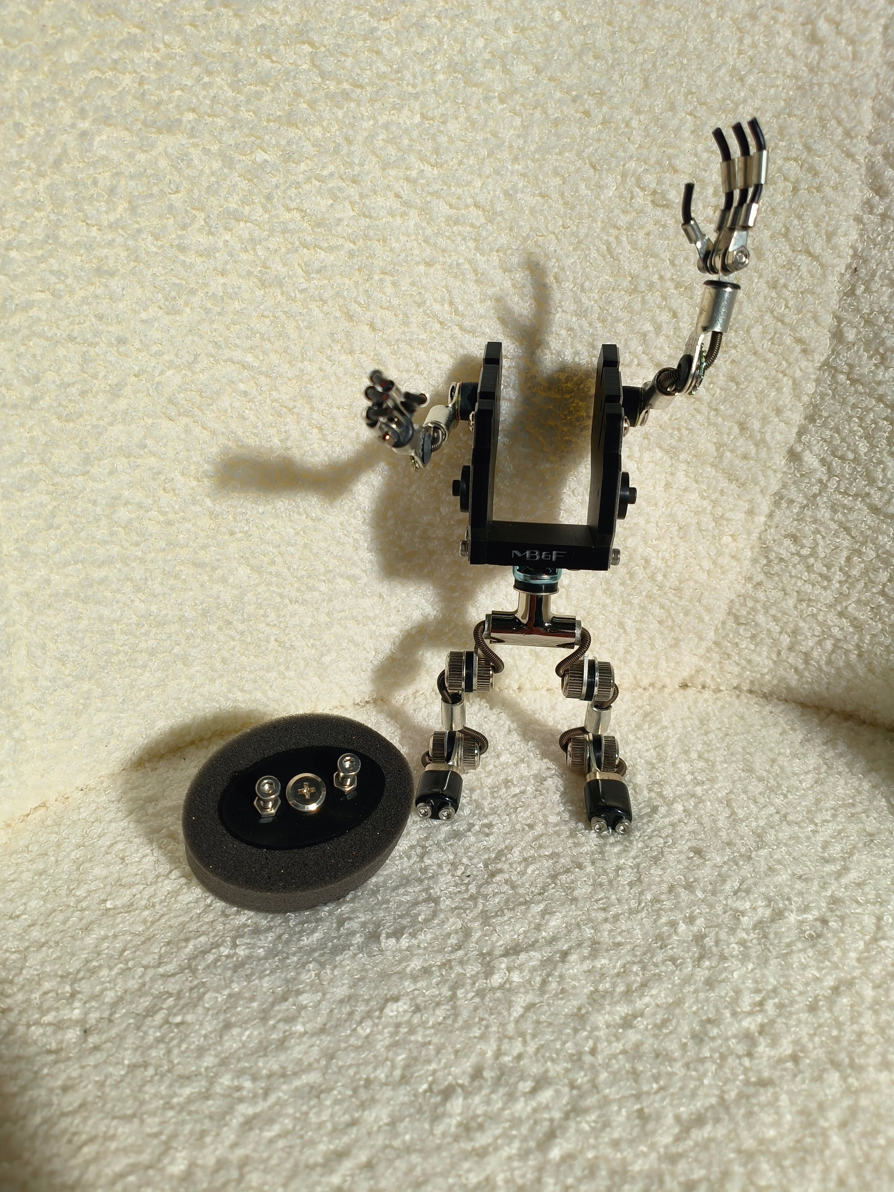 Robotoys Black Watch