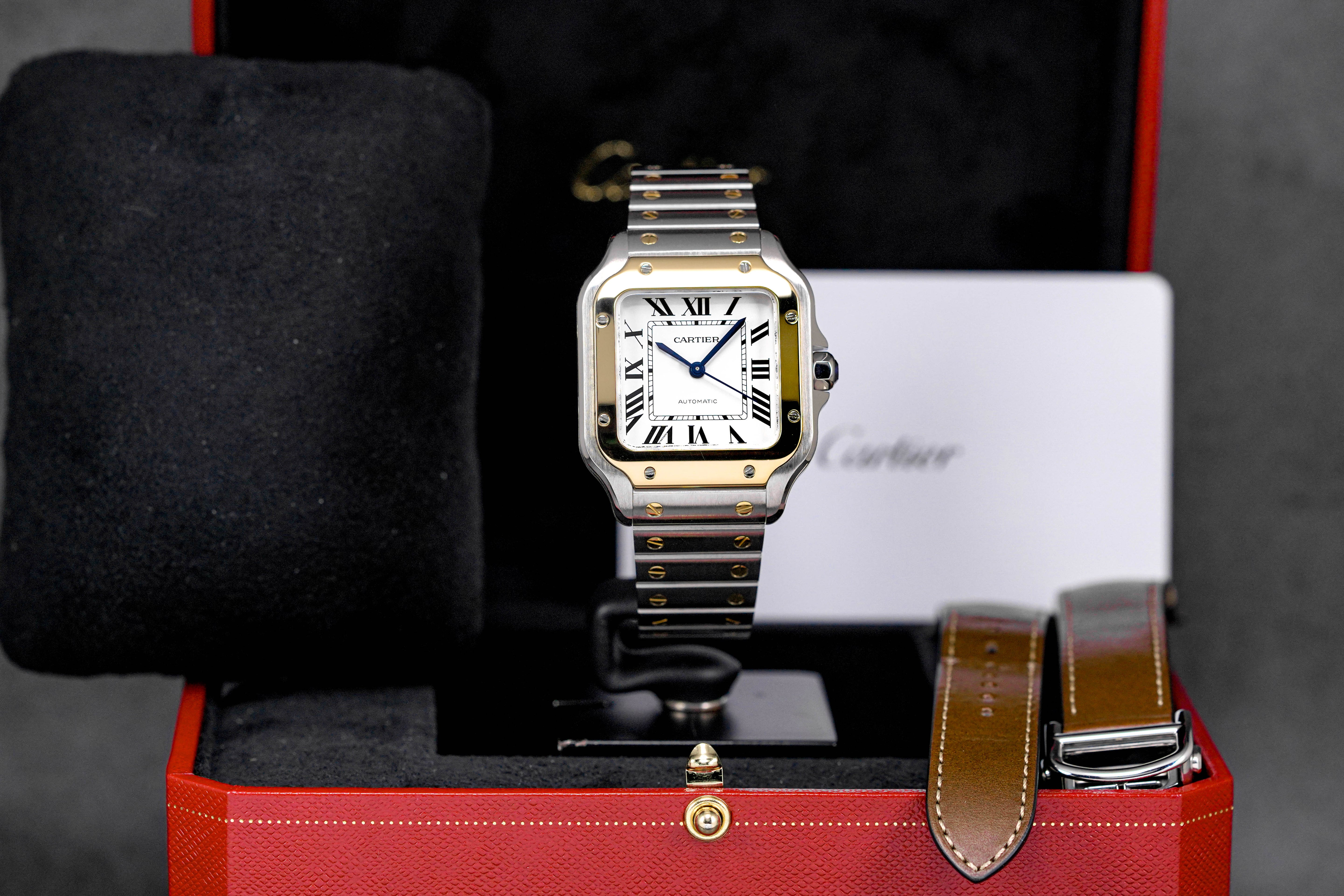 Santos De Cartier M Silver