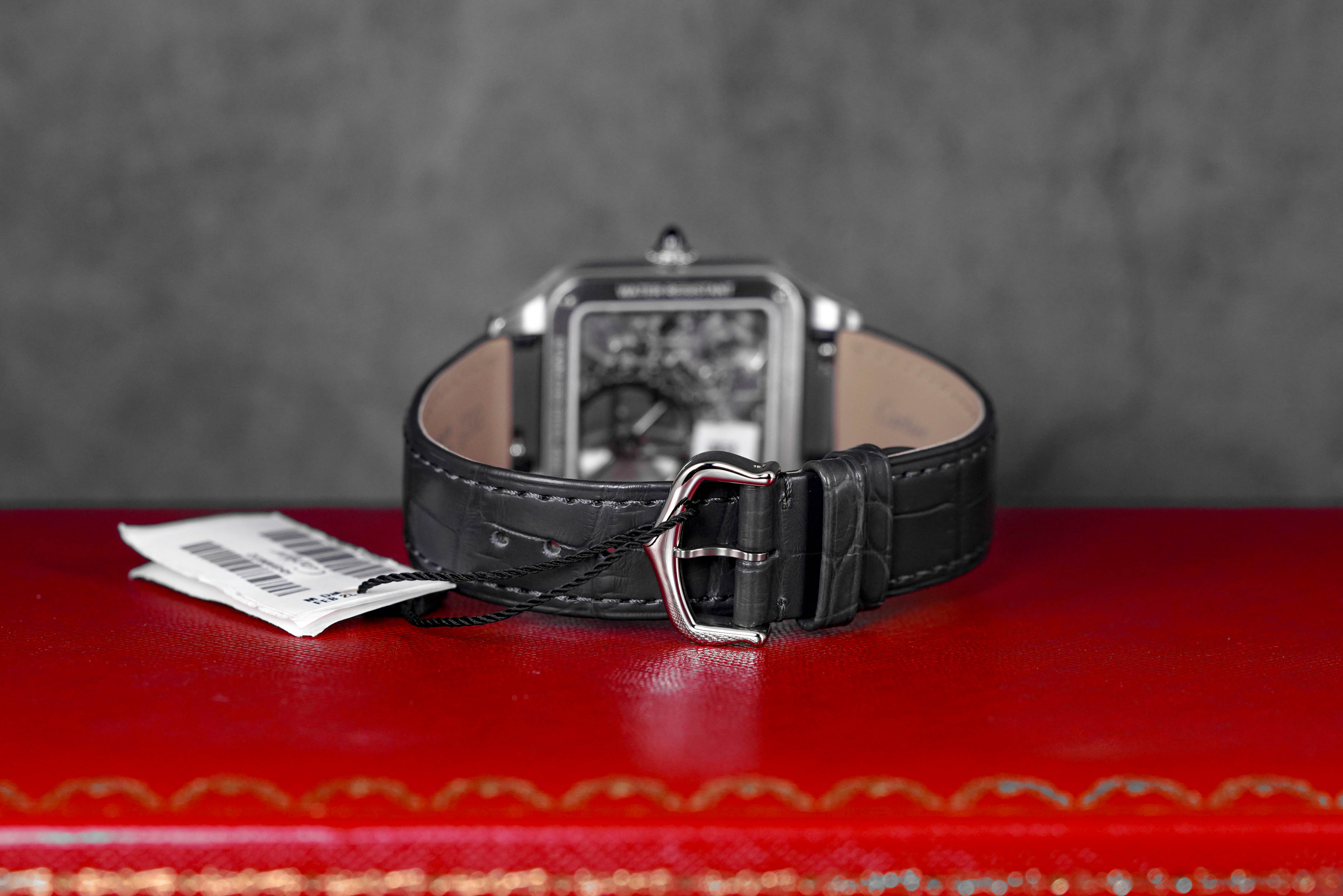 Santos Dumont L Skeleton