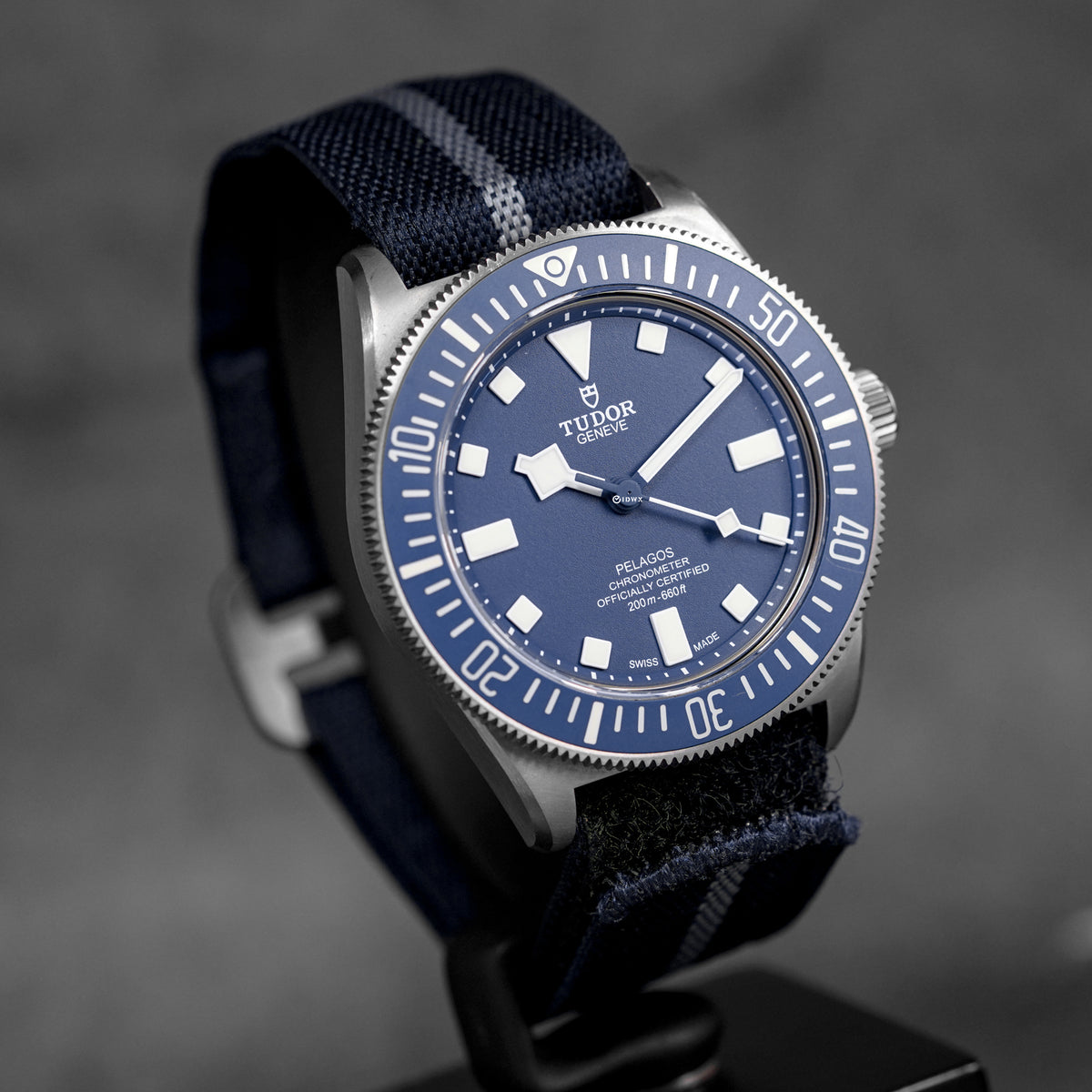 TUDOR PELAGOS
