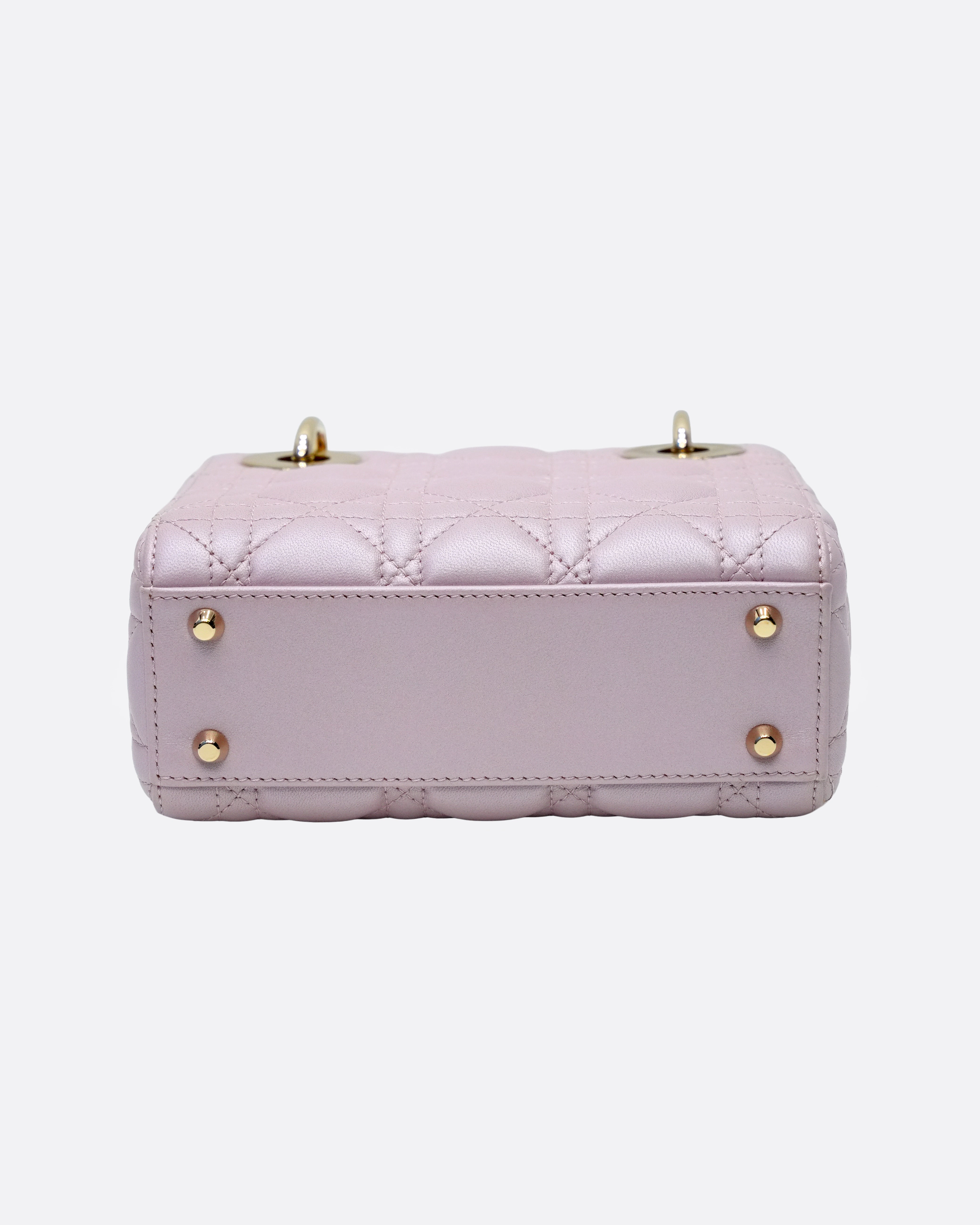 MINI PINK LOTUS LGHW (2019)