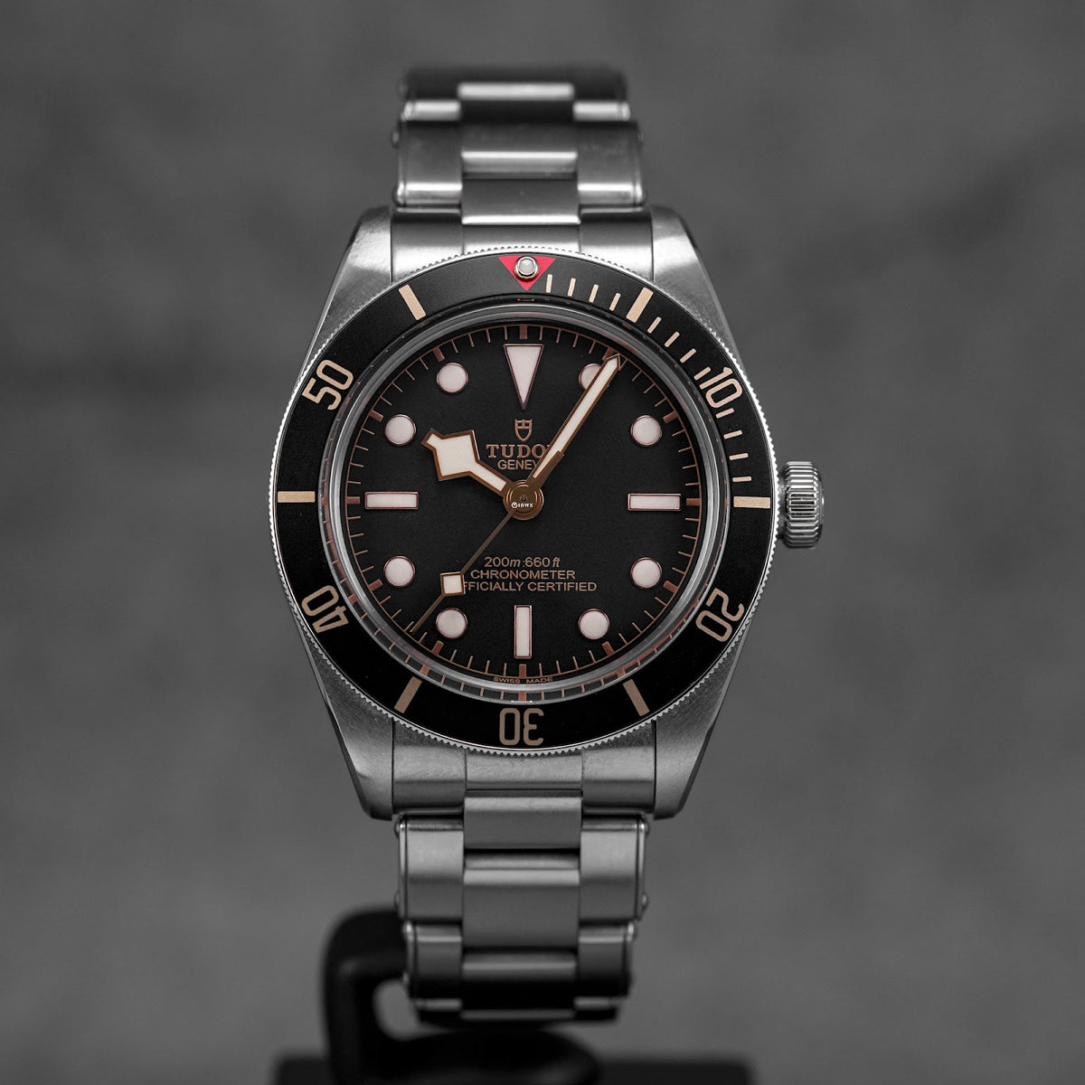 Tudor Black Bay