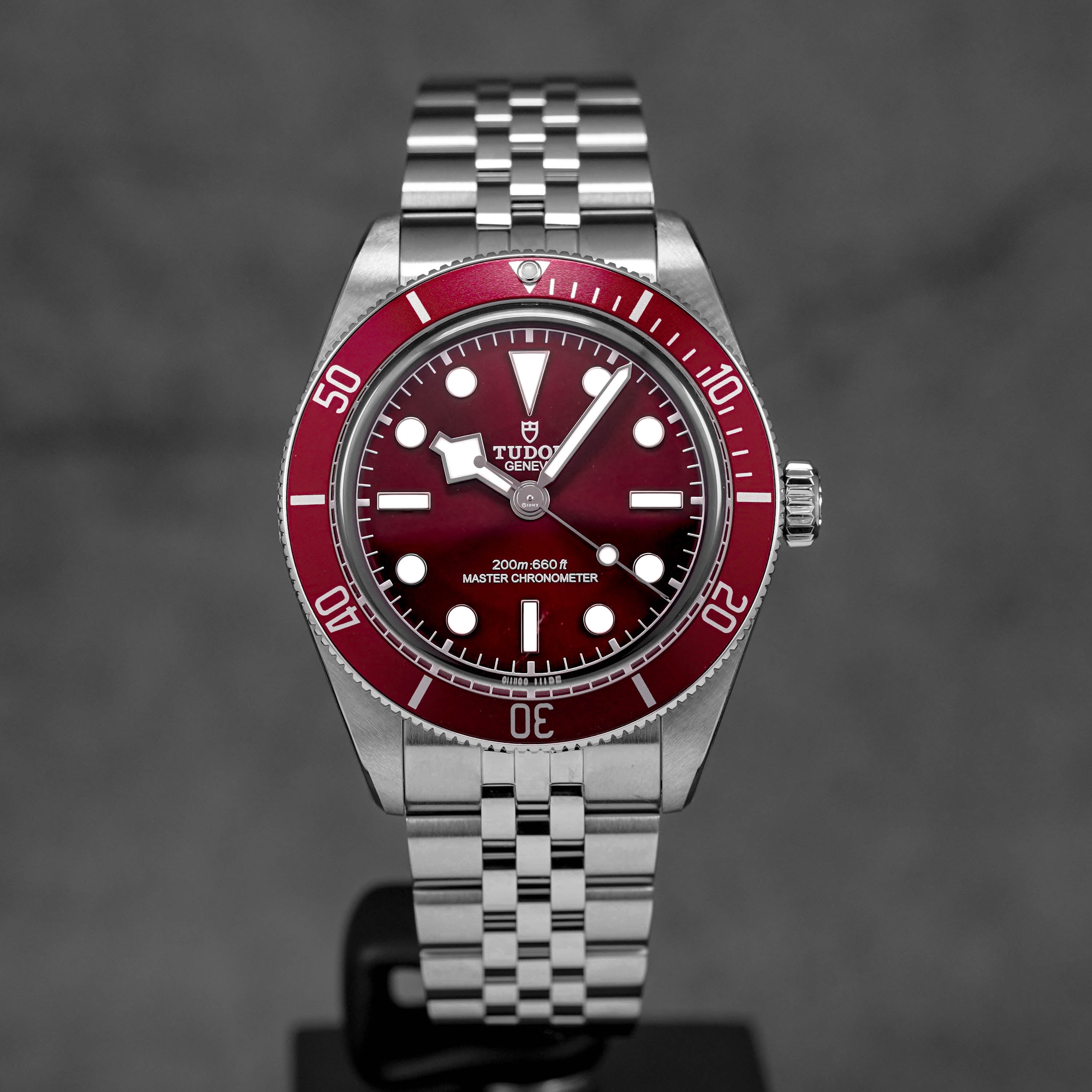 Harga Tudor Black Bay 58 Red Terbaru