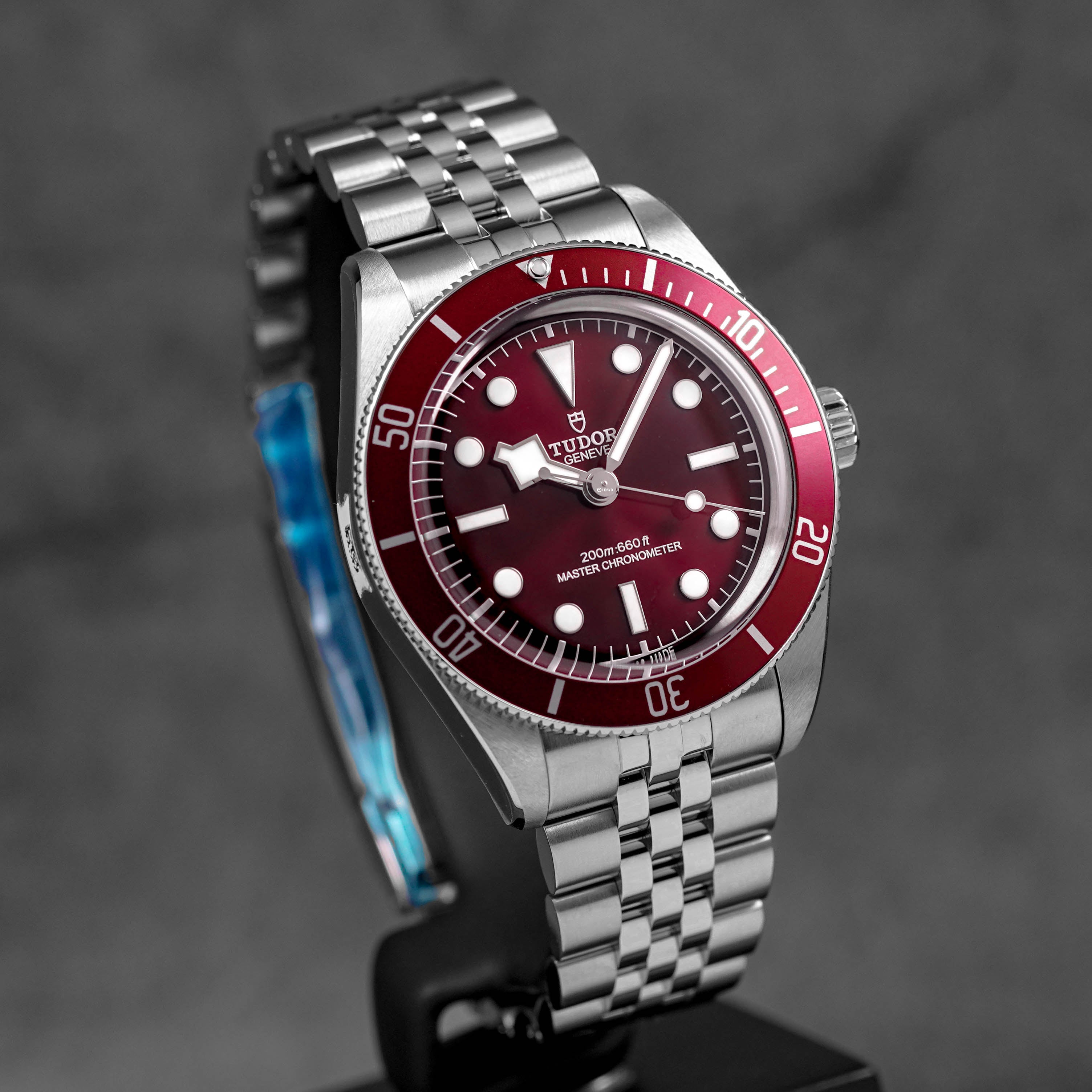 Harga Tudor Black Bay 58 Red Terbaru