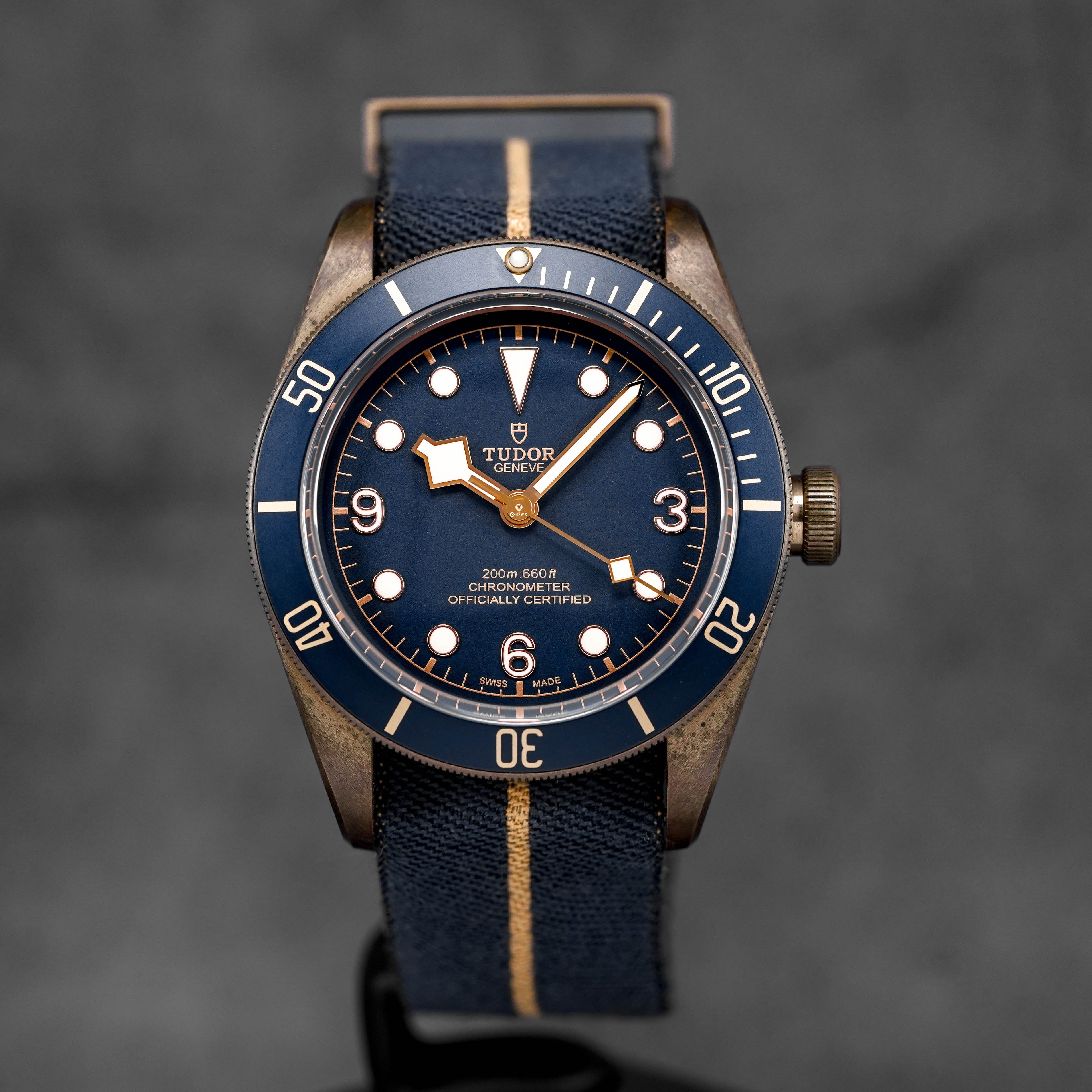 Harga Tudor Black Bay Bronze Bucherer