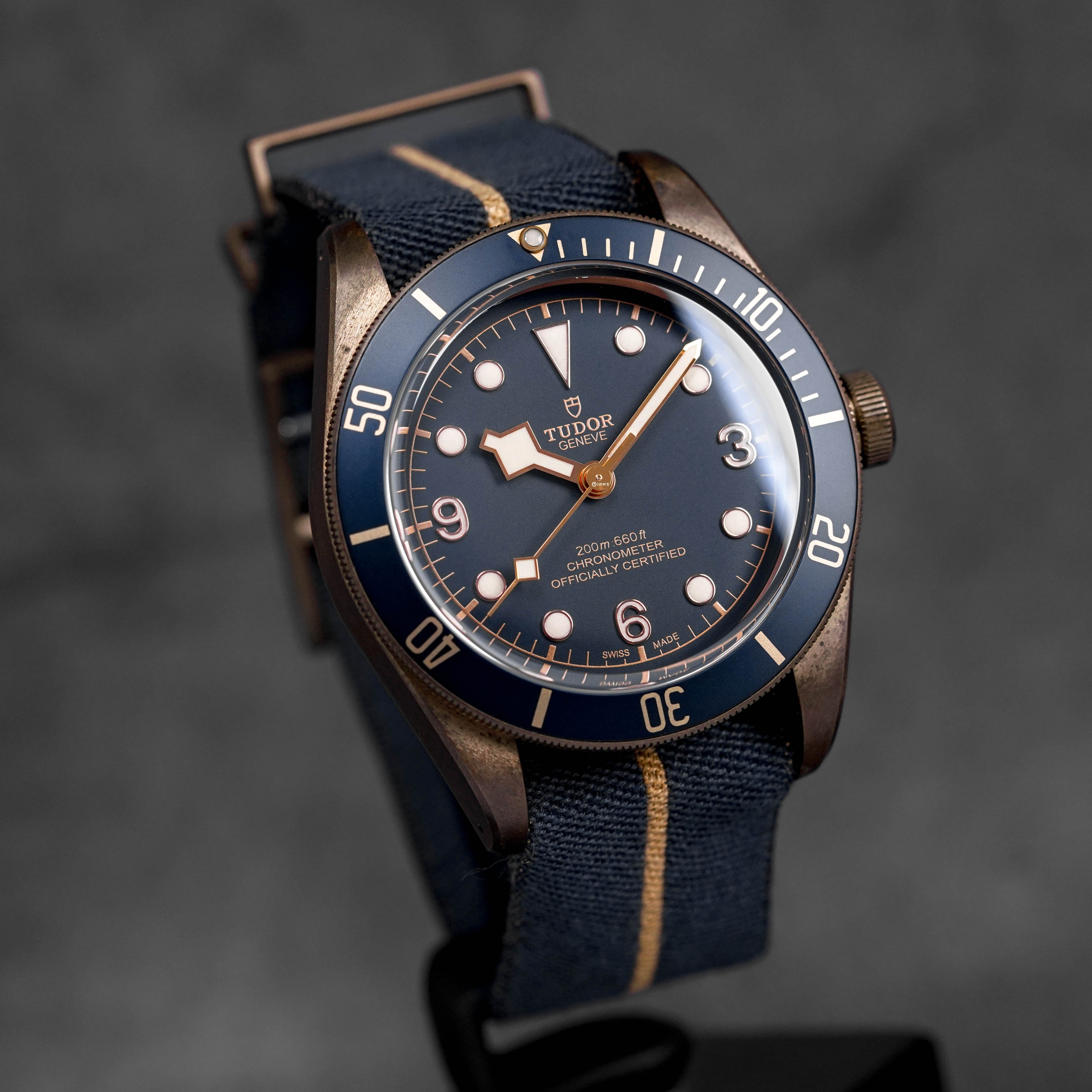 Harga Tudor Black Bay Bronze Bucherer