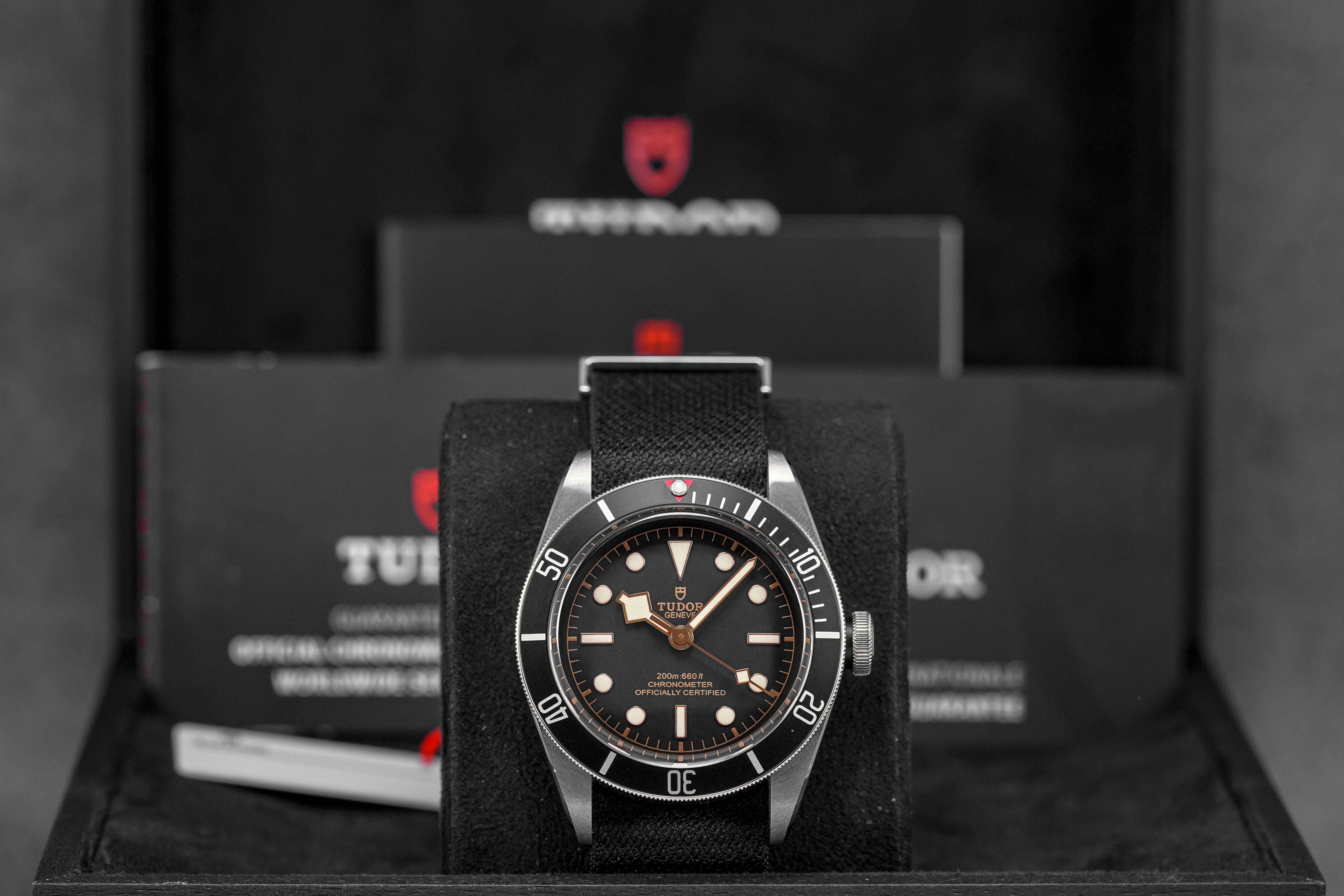 Harga Tudor Black Bay Heritage Black