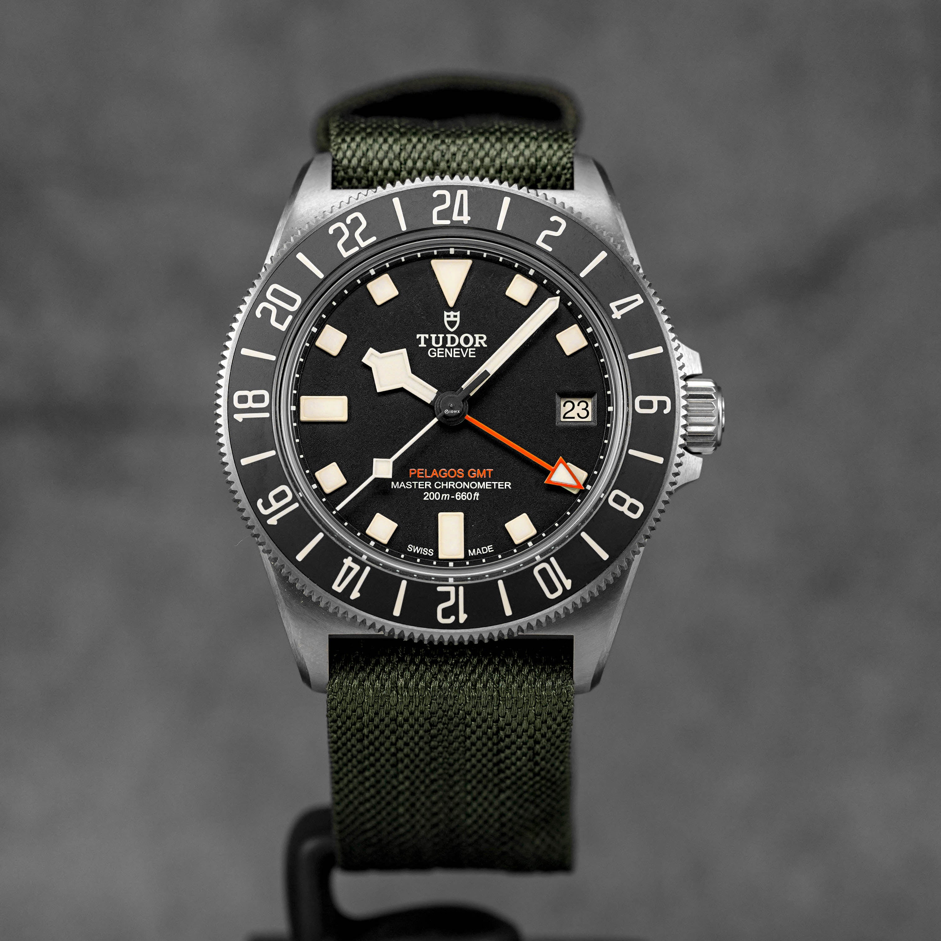 Harga Tudor Pelgaos FXD GMT Titanium Black