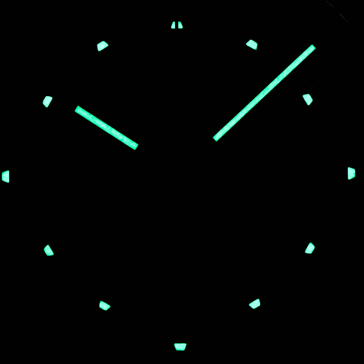 CHRONOMASTER SPORT WHITE PANDA DIAL (2023)