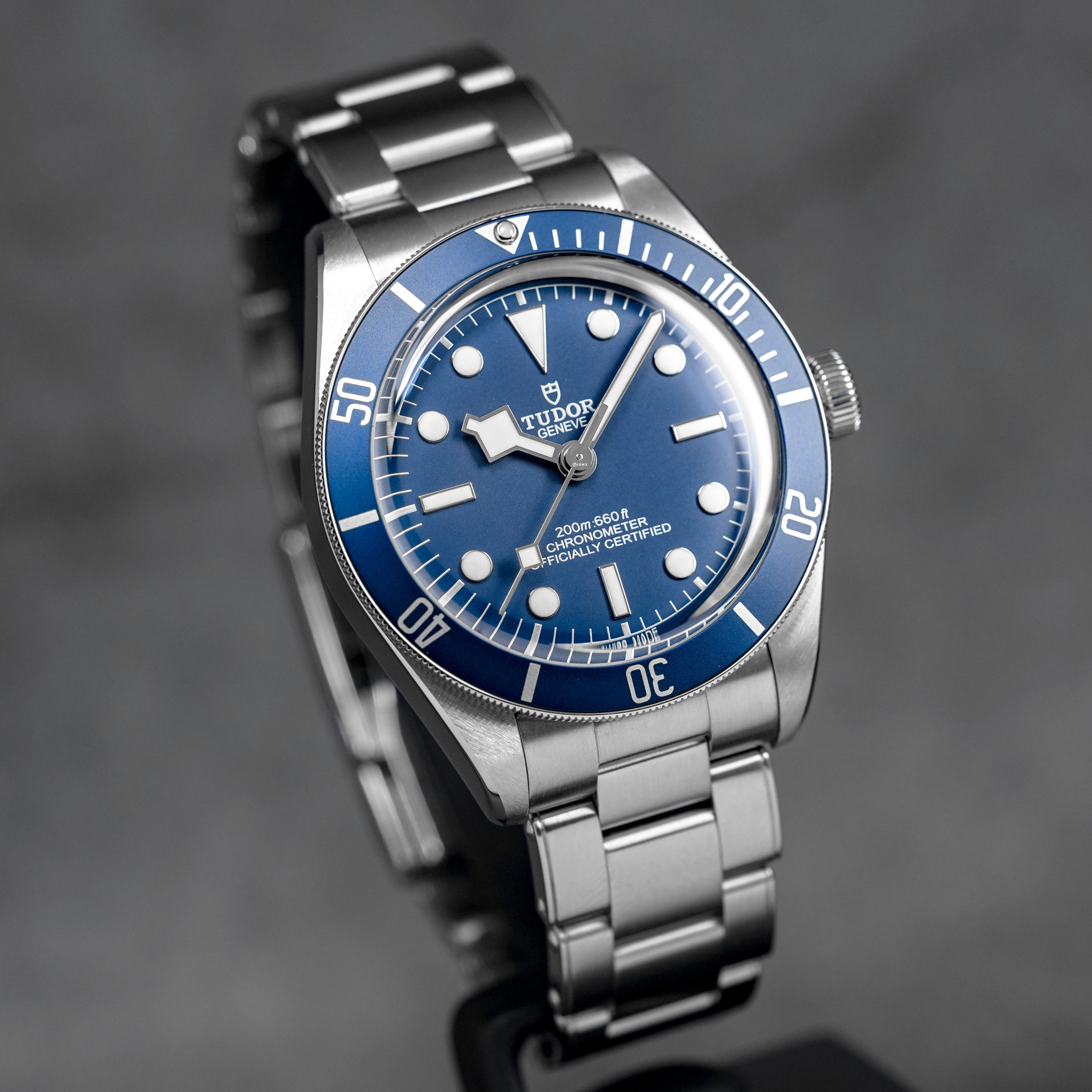 harga tudor black bay 58 blue