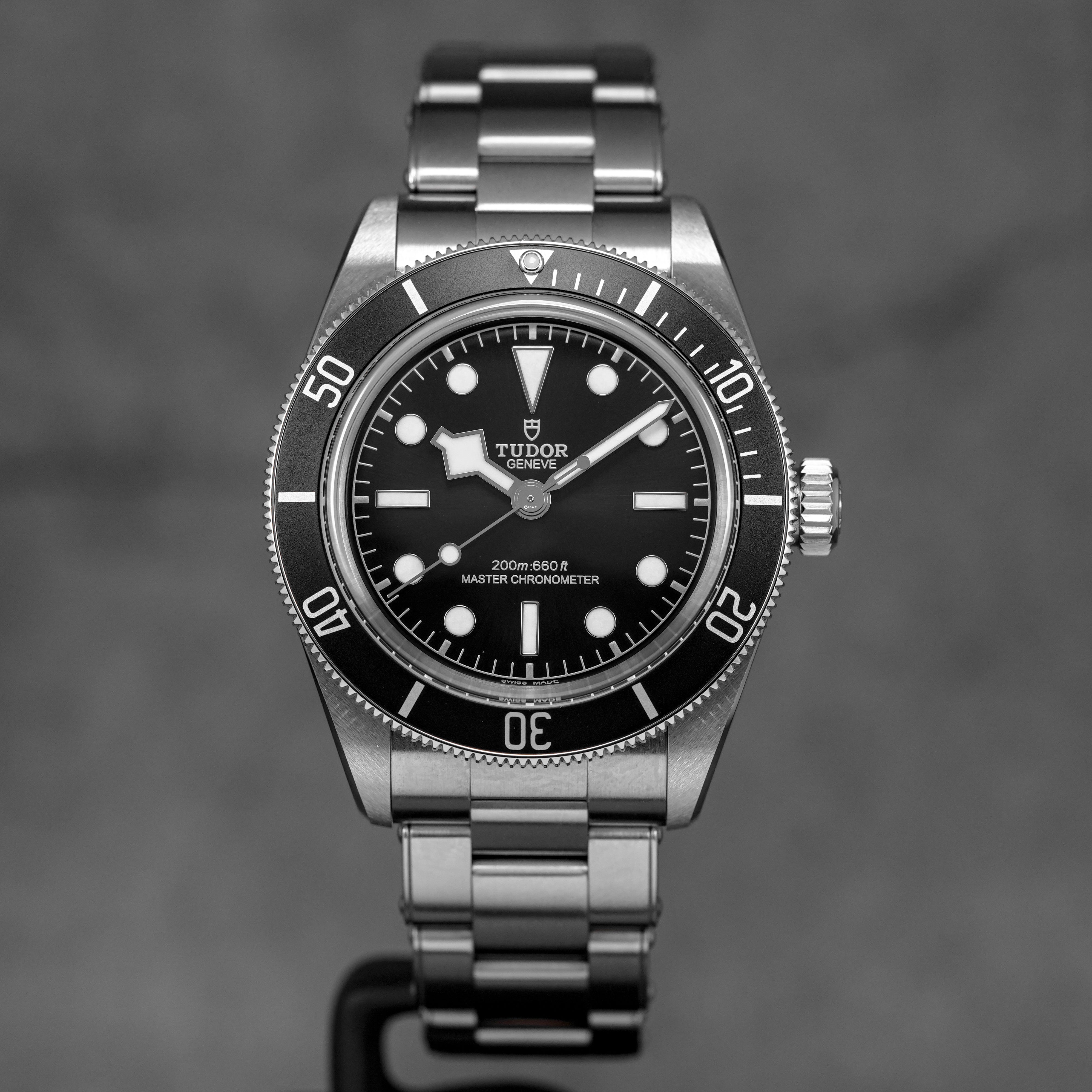 harga tudor black bay monochrome