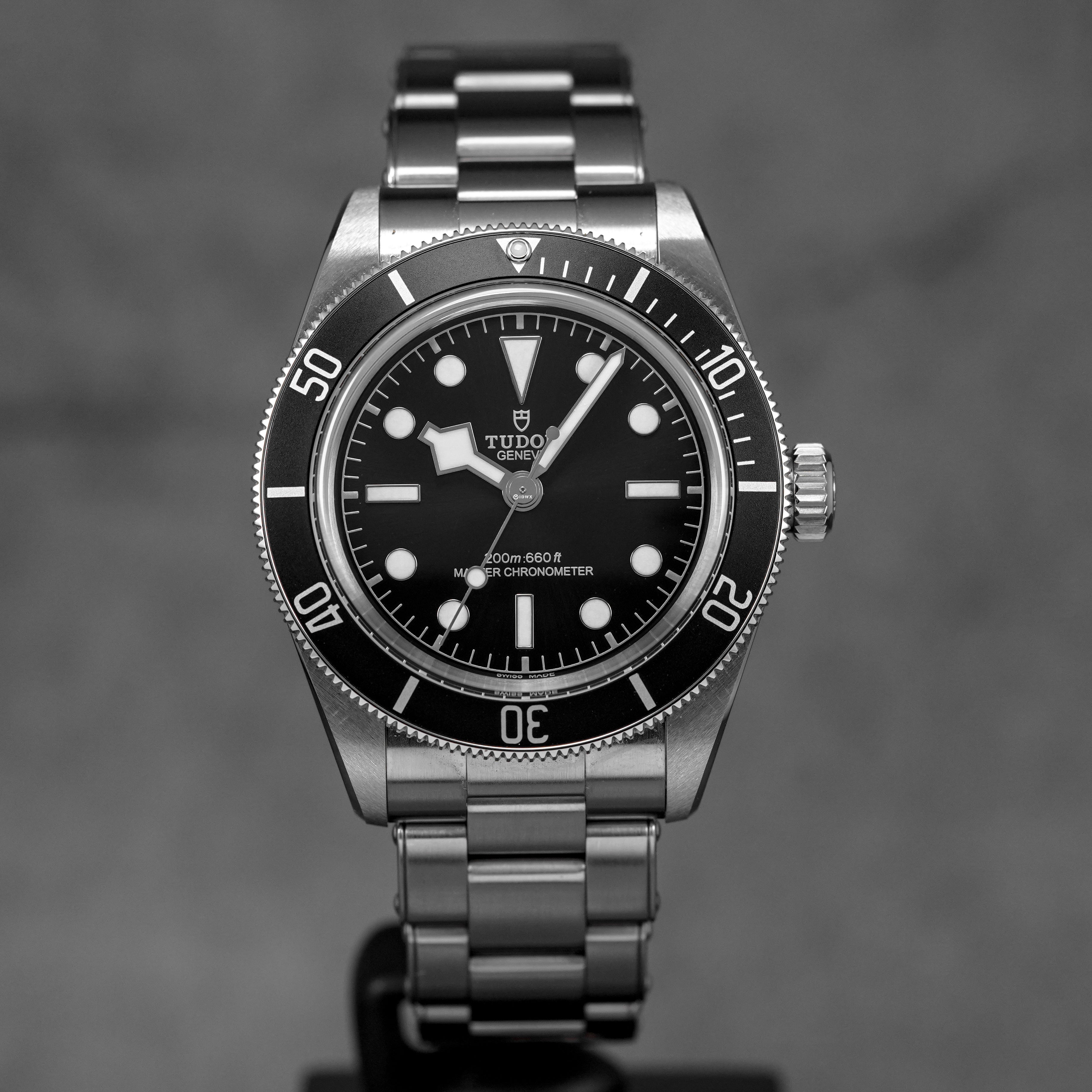 harga tudor black bay monochrome oyster