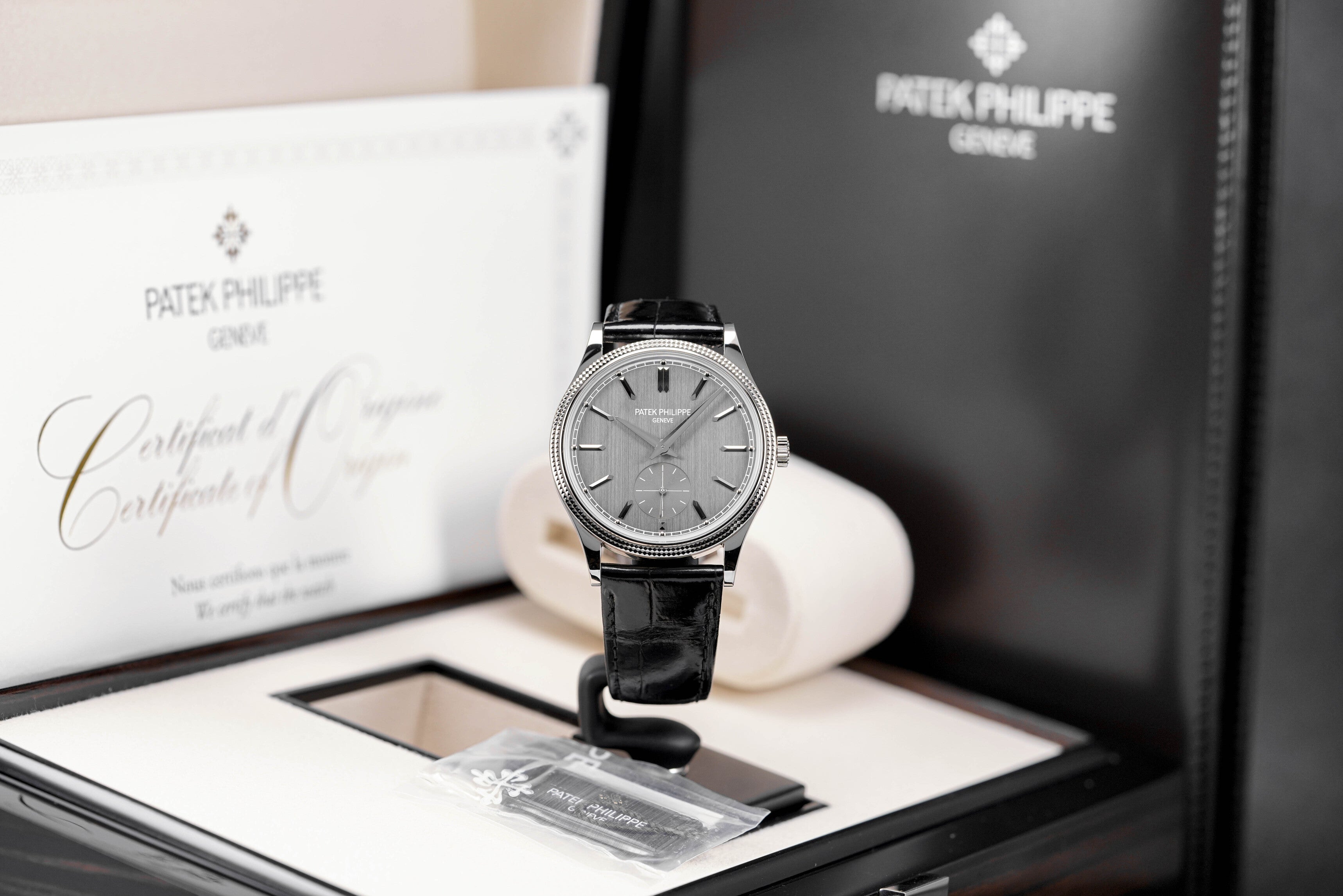 CALATRAVA 'CLOUS DE PARIS' WHITE GOLD 6119G (2022)