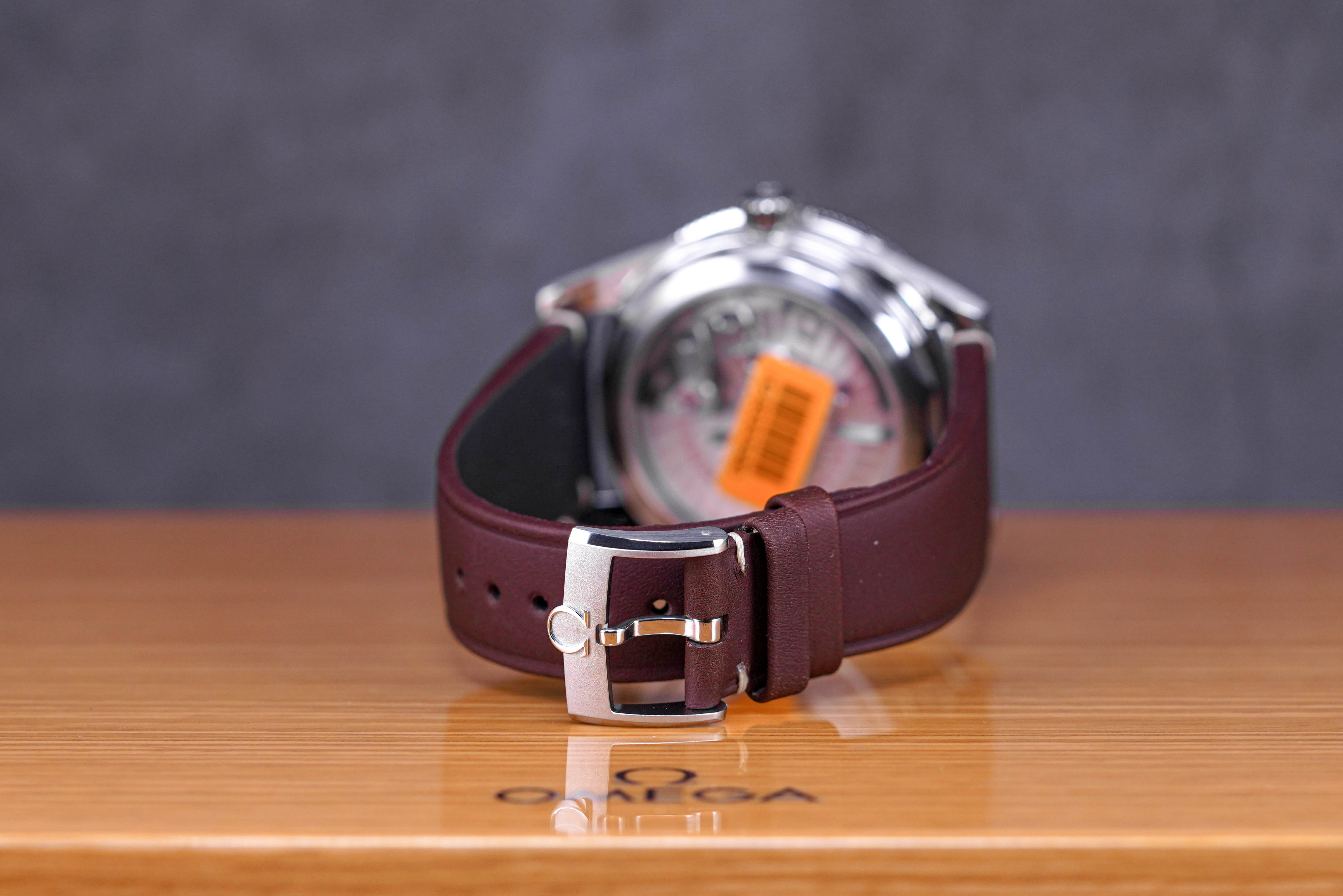 SEAMASTER 300 MASTER CHRONOMETER (2022)