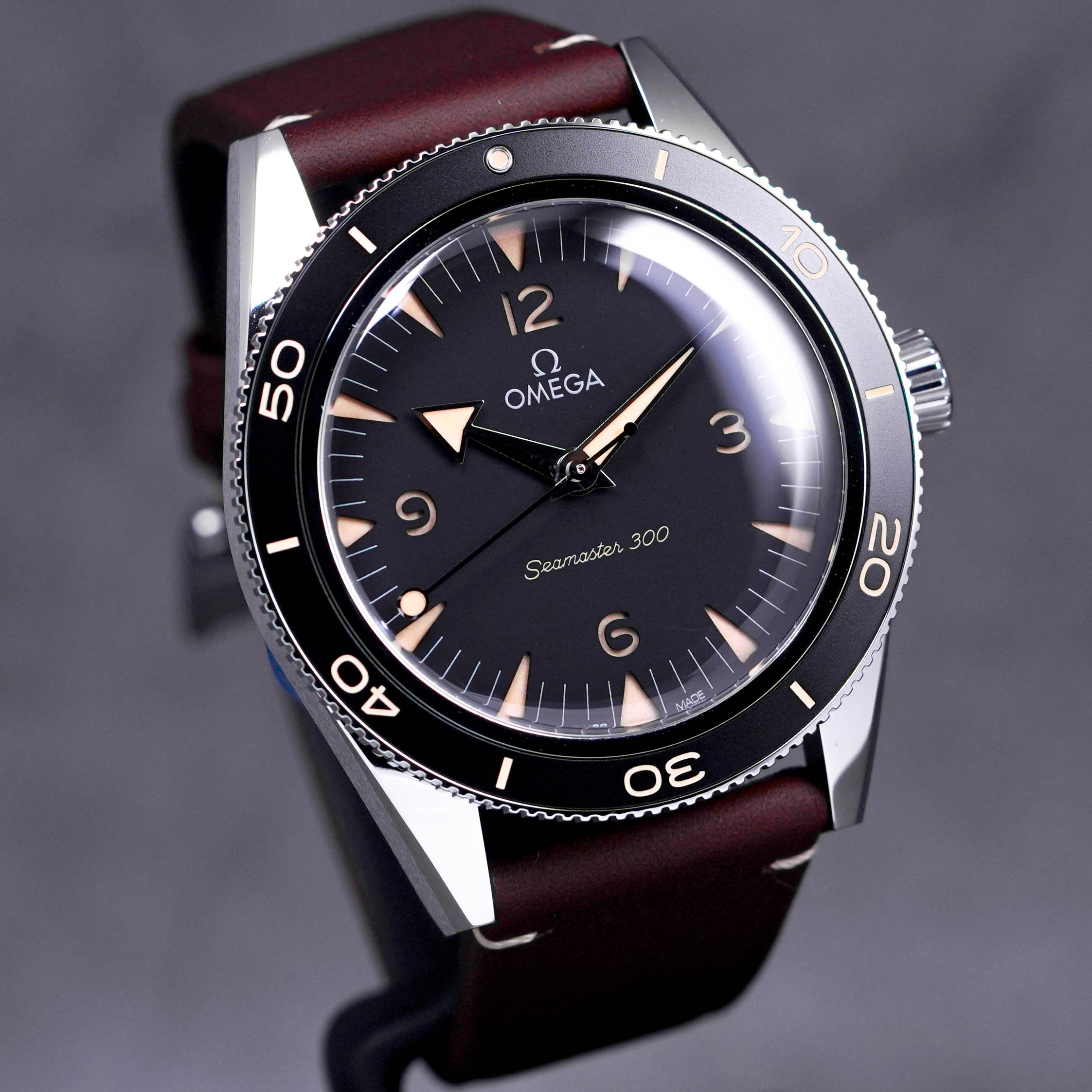 SEAMASTER 300 MASTER CHRONOMETER (2022)