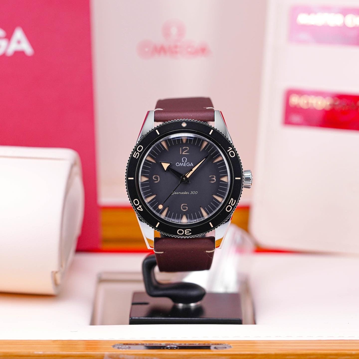 SEAMASTER 300 MASTER CHRONOMETER (2022)