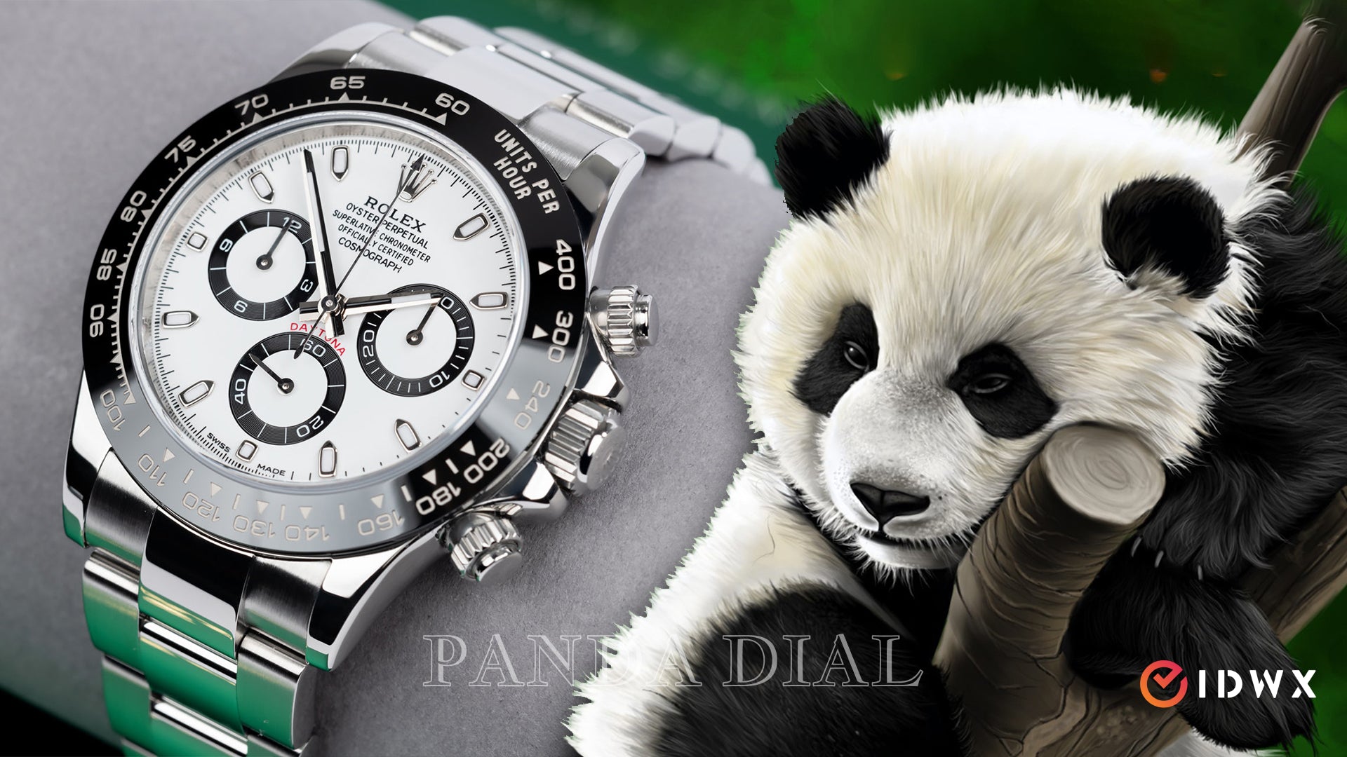 Top 10 Expert Approved Panda Dial Watches IDWX