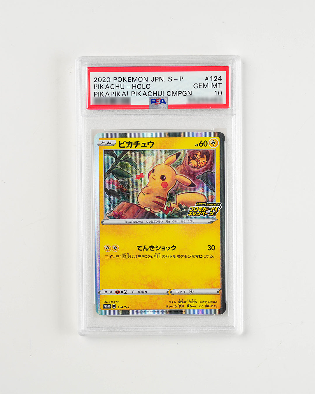 JAPANESE PROMO PIKACHU PIKAPIKA! PIKACHU! (2020)
