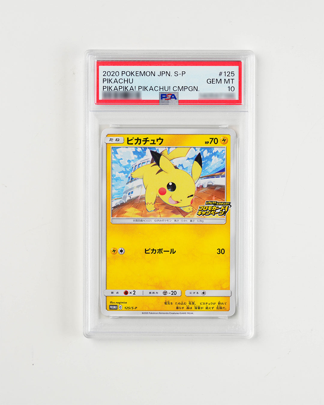 JAPANESE PROMO PIKACHU PIKAPIKA! PIKACHU! (2020)
