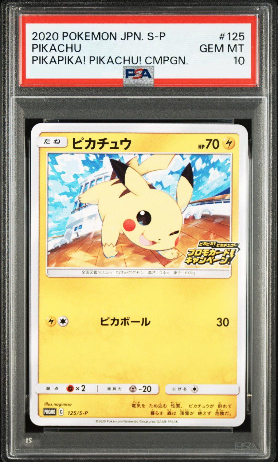 PIKACHU PIKAPIKA! PIKACHU!