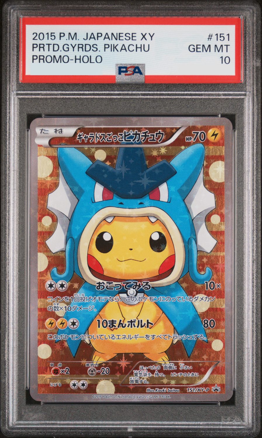 PRETEND GYARADOS PIKACHU