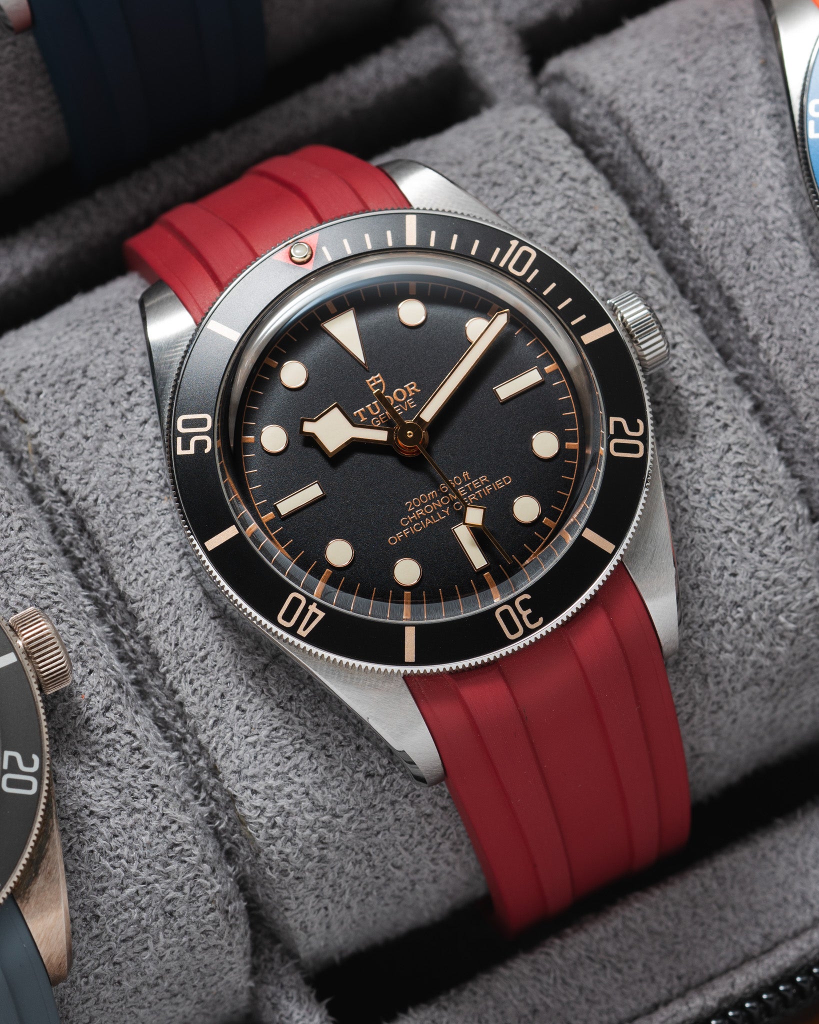 Delugs Strap Tudor Black Bay 58 Red