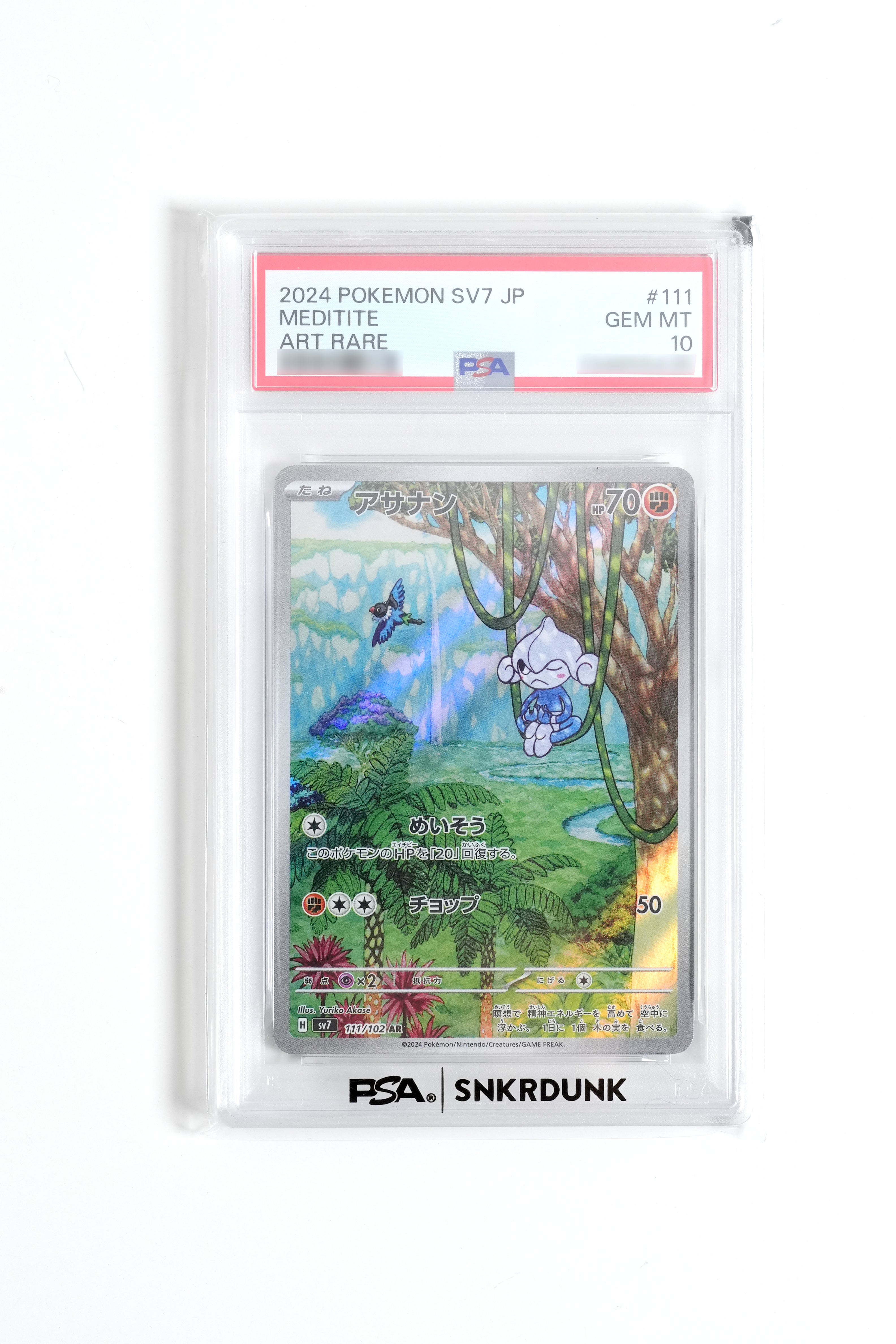 JAPANESE STELLAR MIRACLE MEDITITE ART RARE (2024)