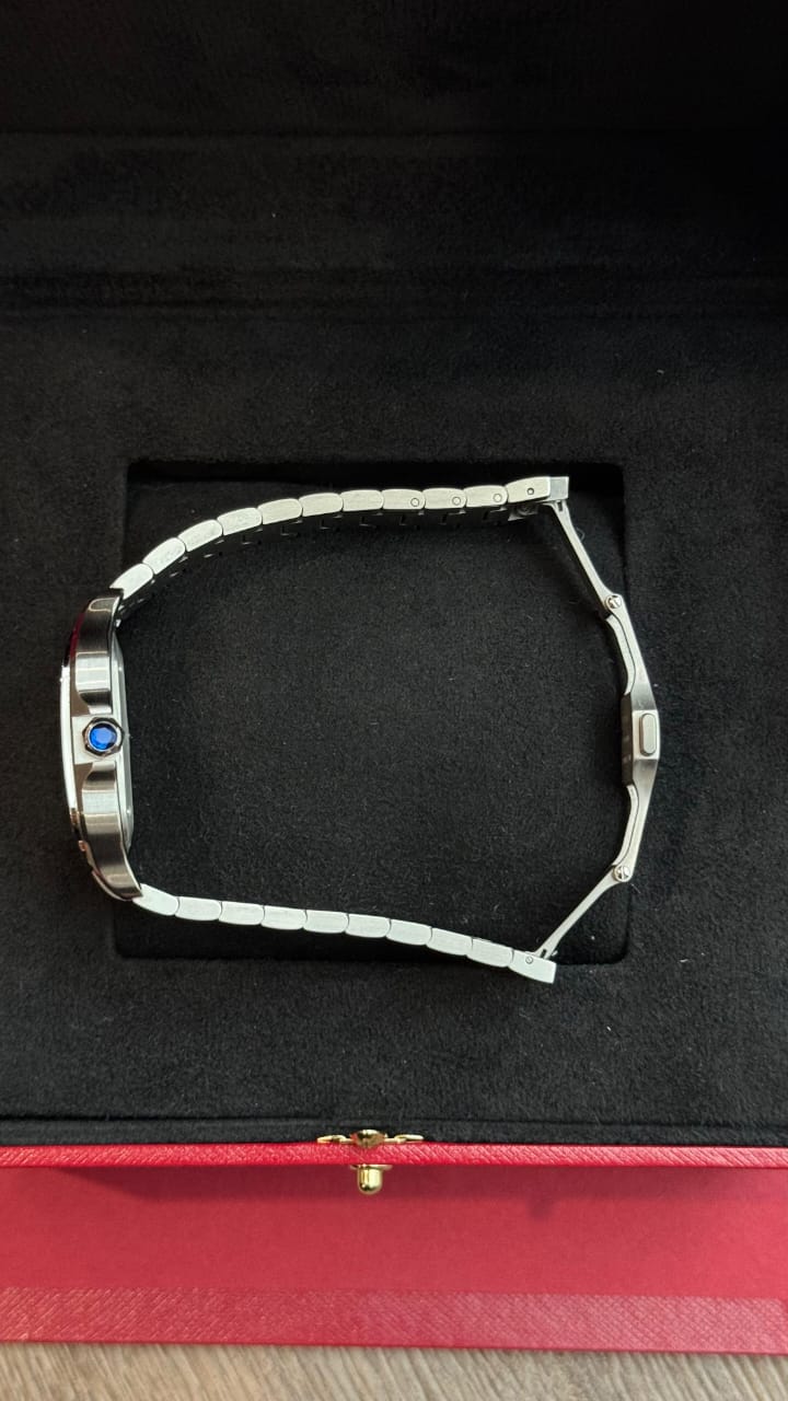 SANTOS DE CARTIER M SILVER DIAL (2024)