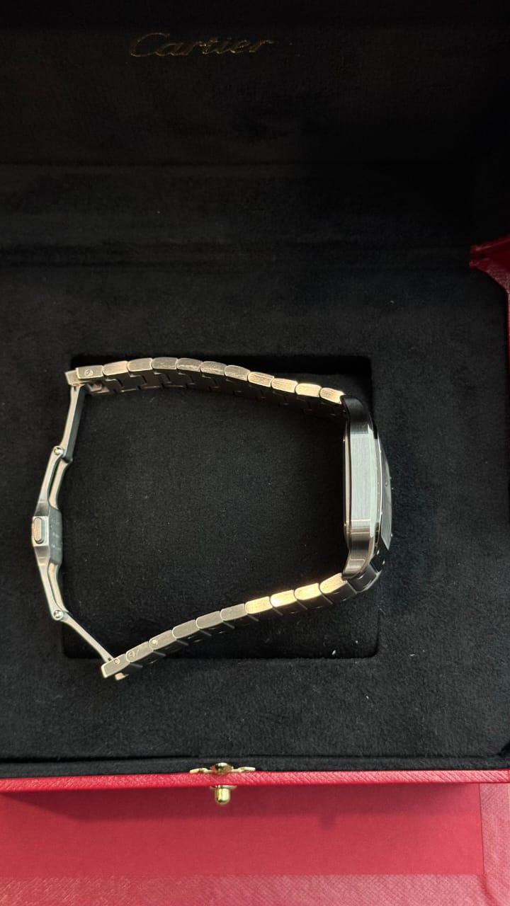 SANTOS DE CARTIER M SILVER DIAL (2024)