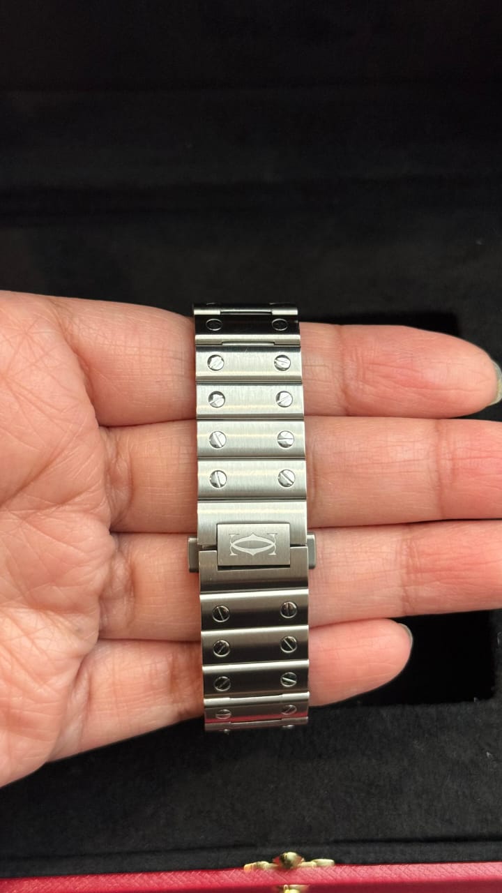 SANTOS DE CARTIER M SILVER DIAL (2024)