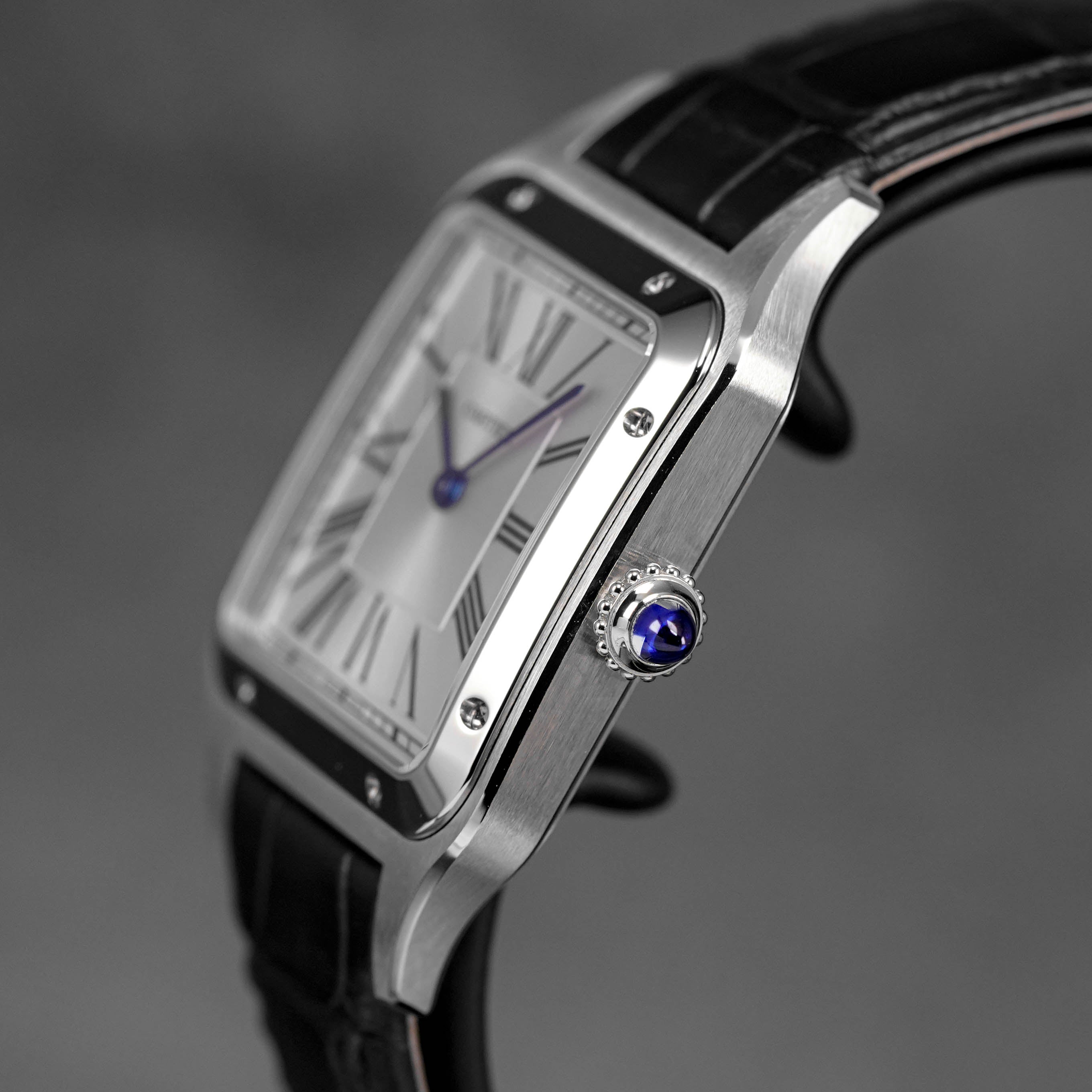 Harga Cartier Santos Dumont L Silver