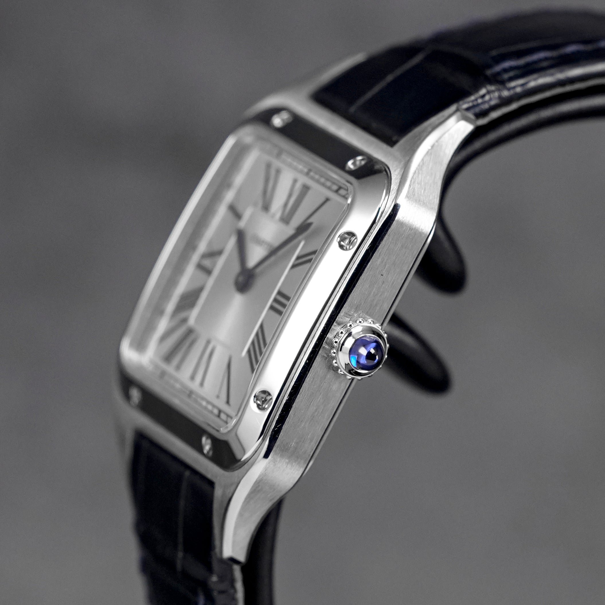 Harga Cartier Santos Dumont S Silver