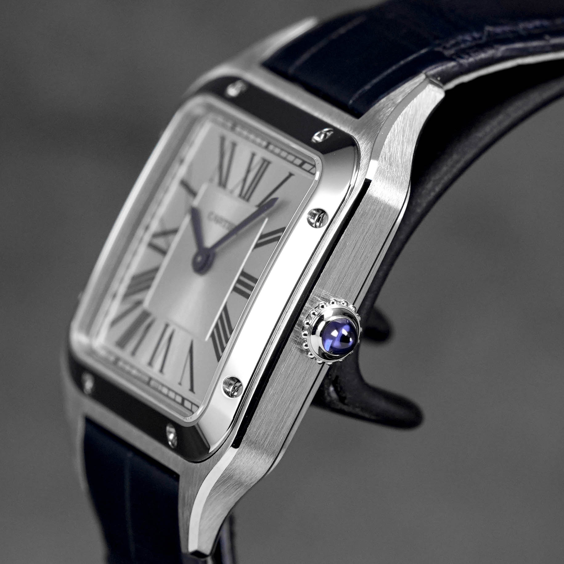 Harga Cartier Santos Dumont S Silver