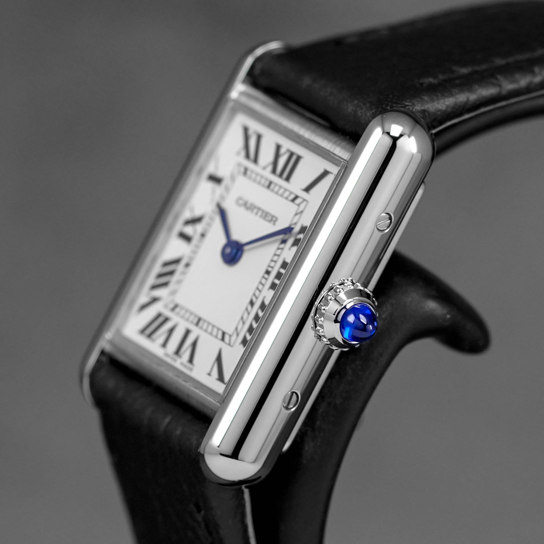Harga Cartier Tank Must S Silver Terbaru